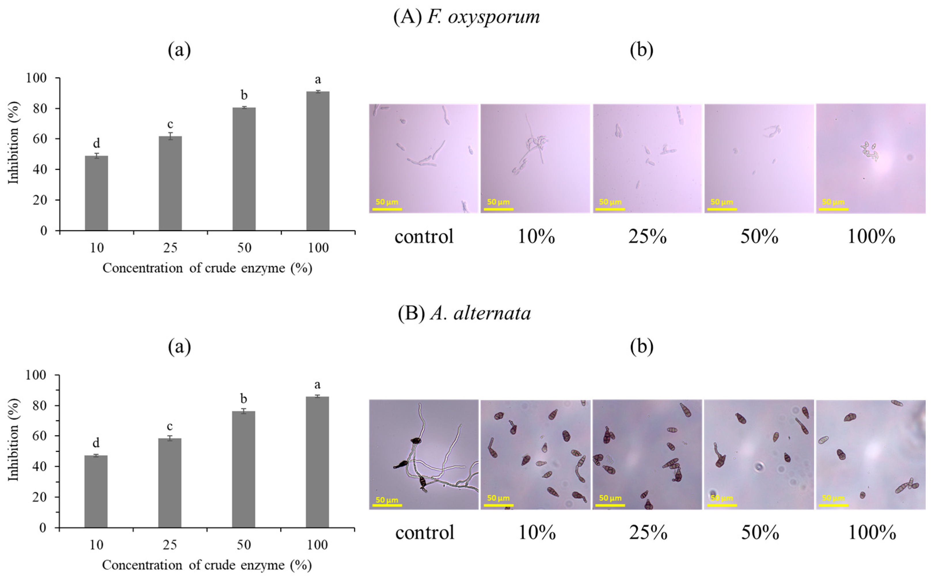 Forests 15 00062 g004