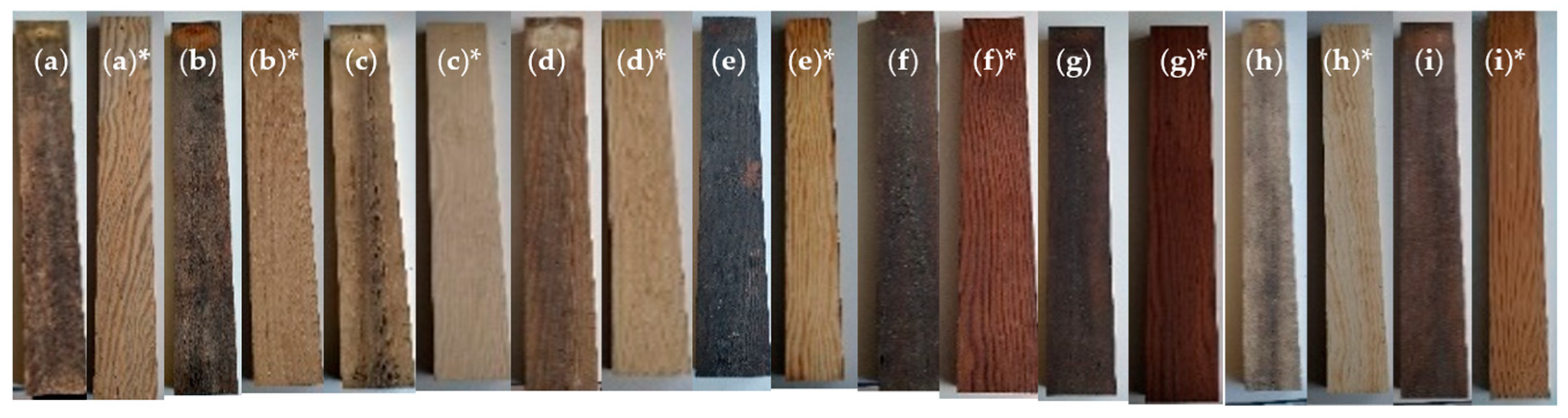 Forests 15 00080 g009