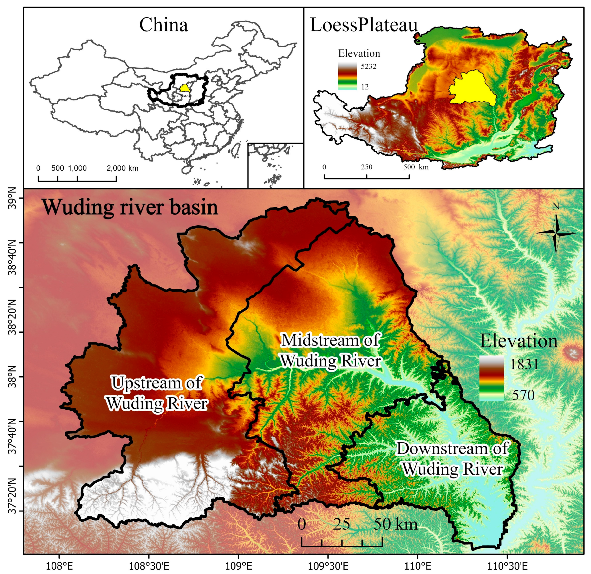 Forests 15 00082 g001