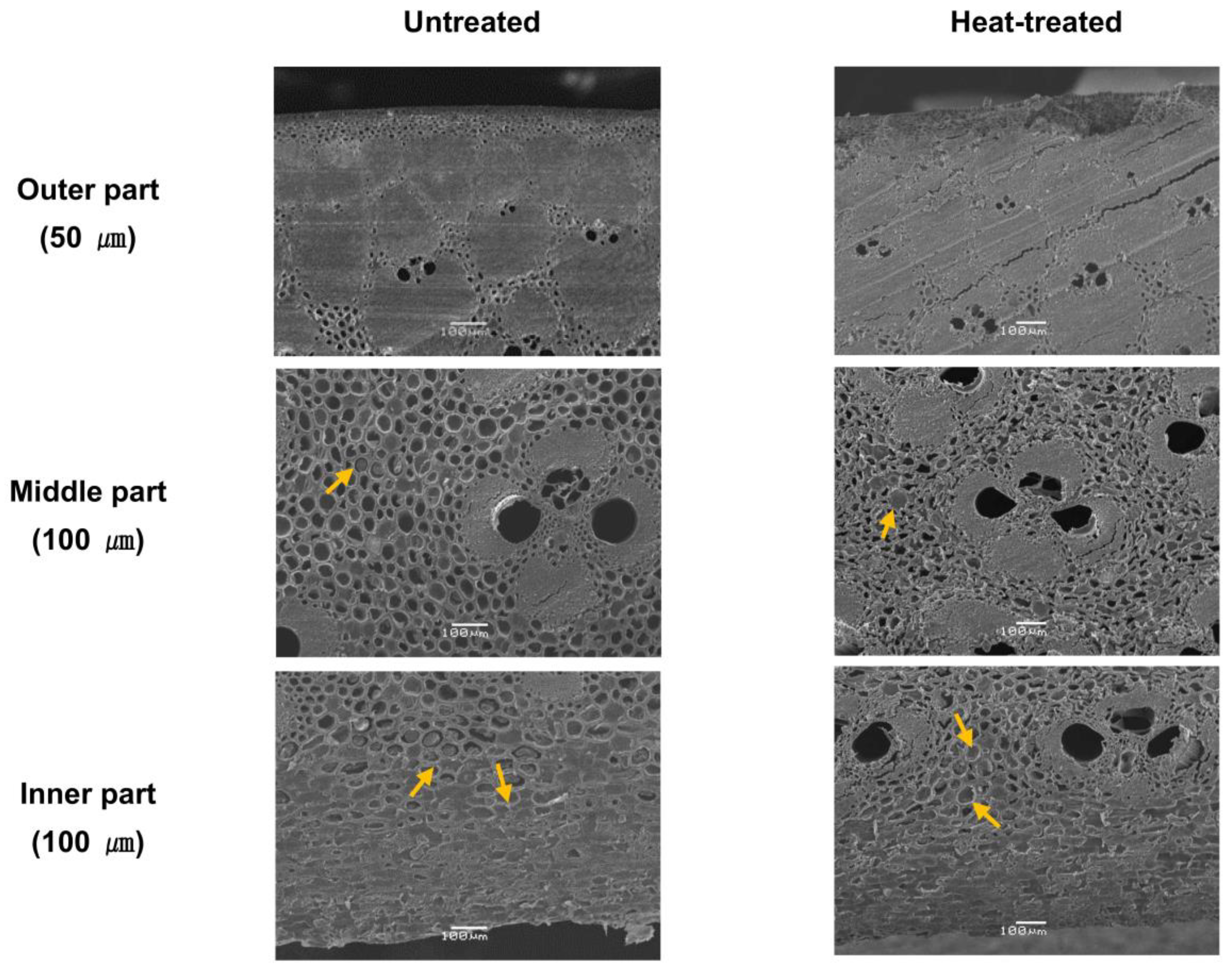 Forests 15 00101 g004