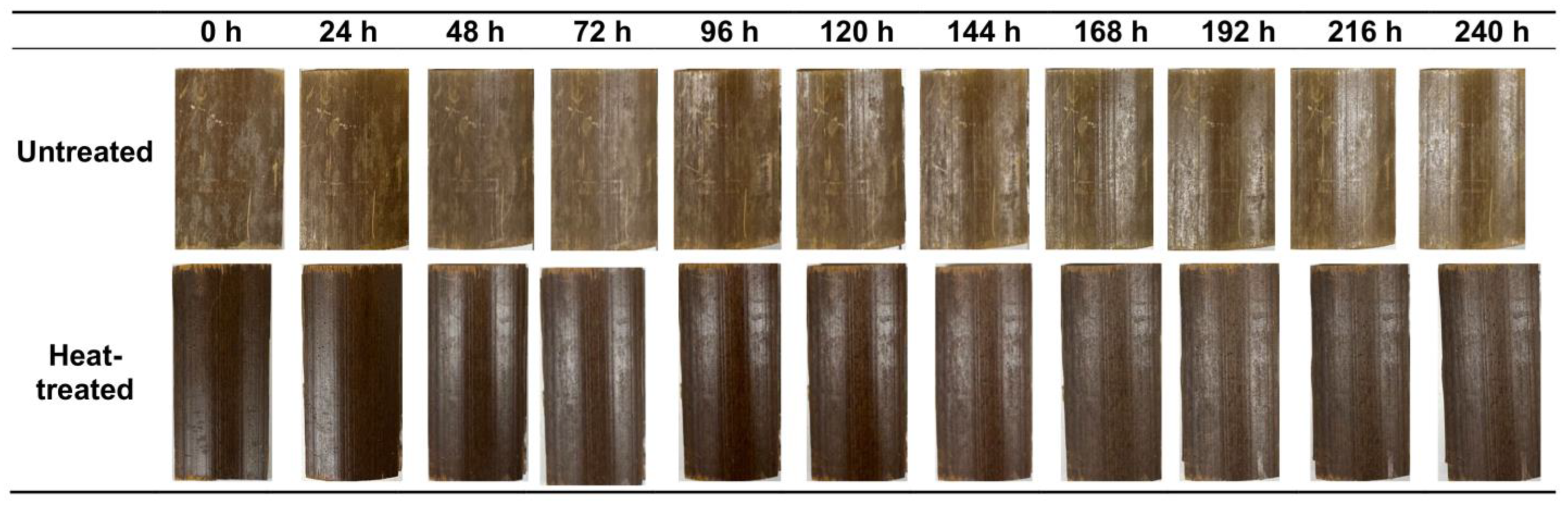 Forests 15 00101 g005