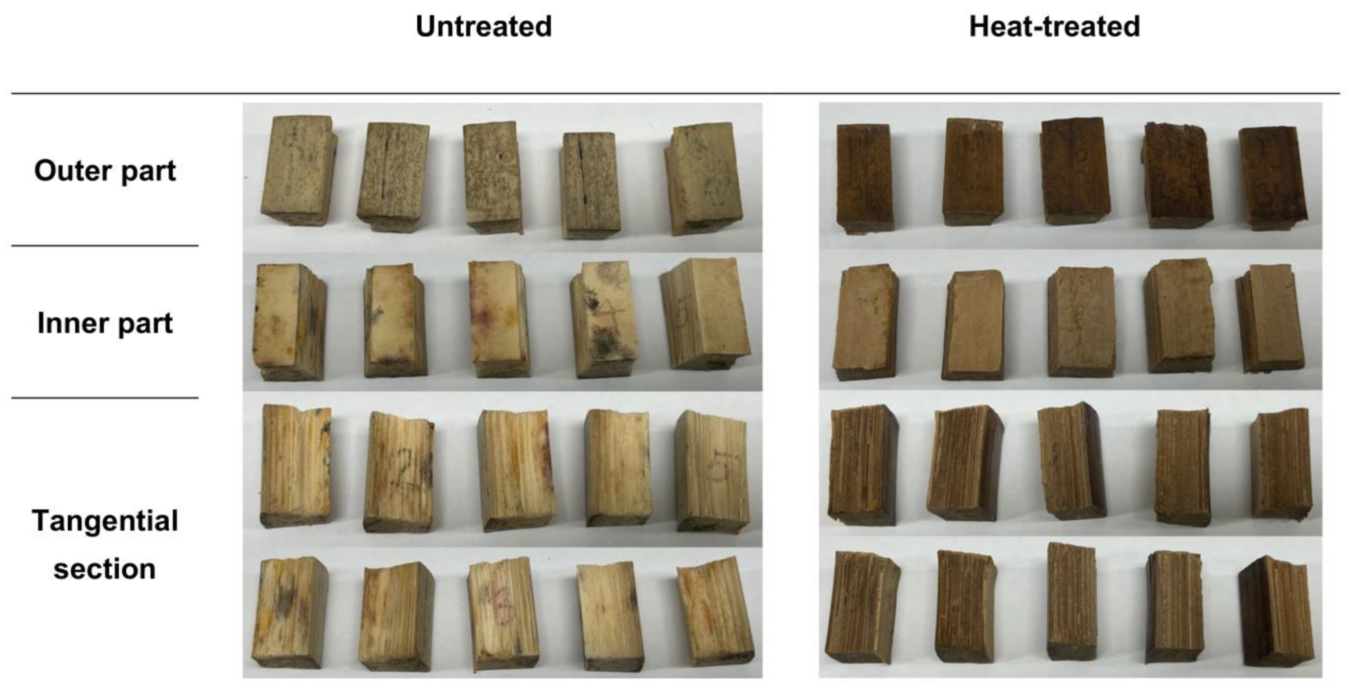 Forests 15 00101 g008