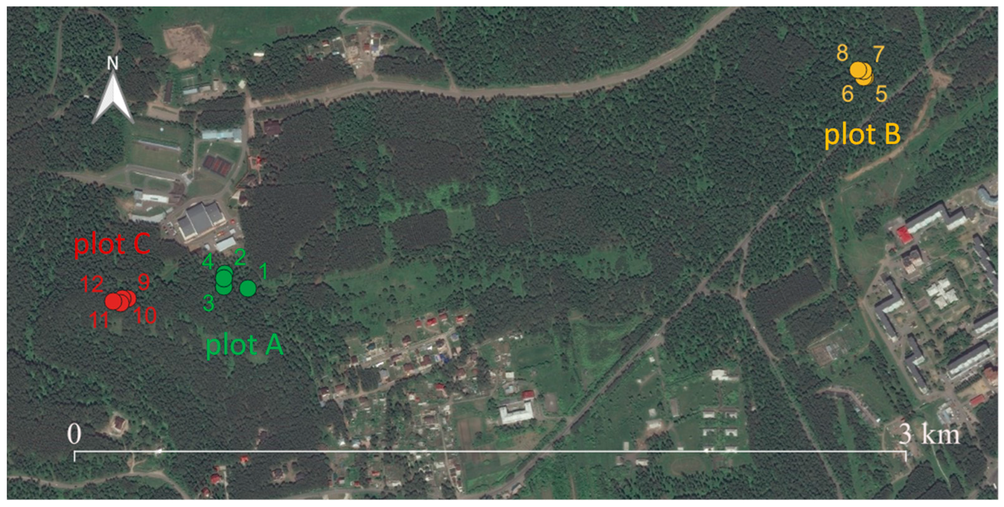 Forests 15 00107 g001 Forests 15 00107 g001