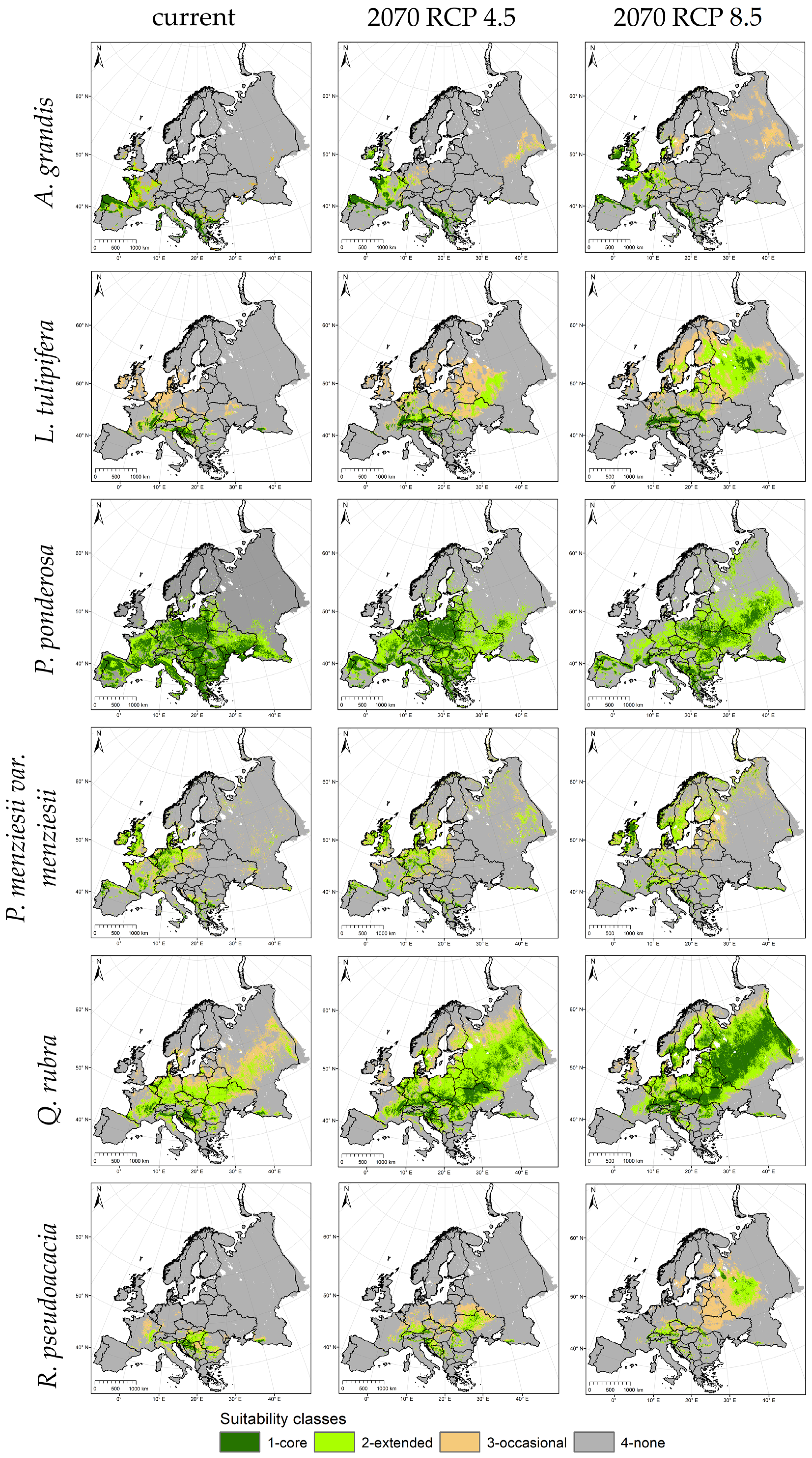 Forests 15 00130 g005