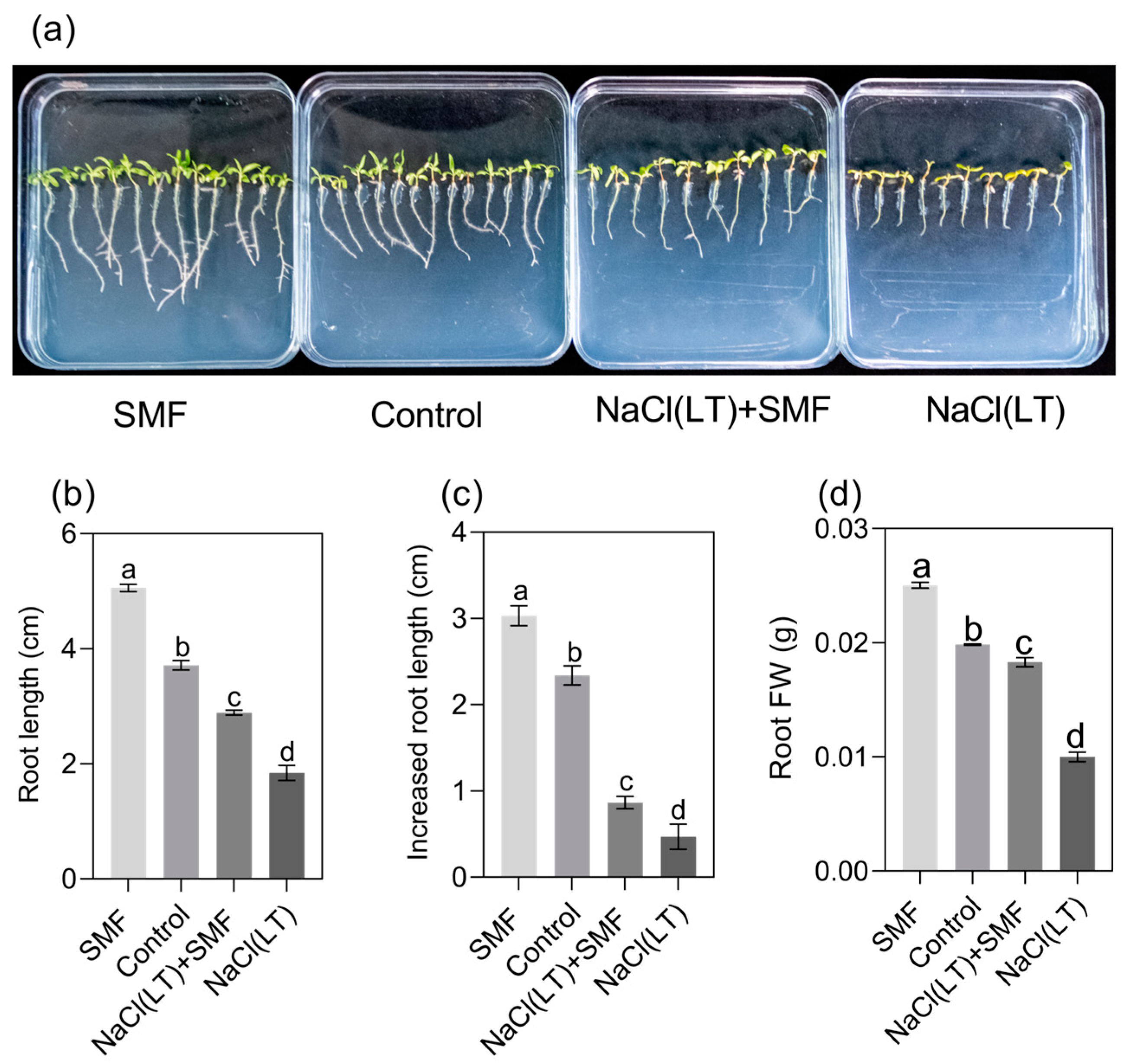 Forests 15 00138 g001