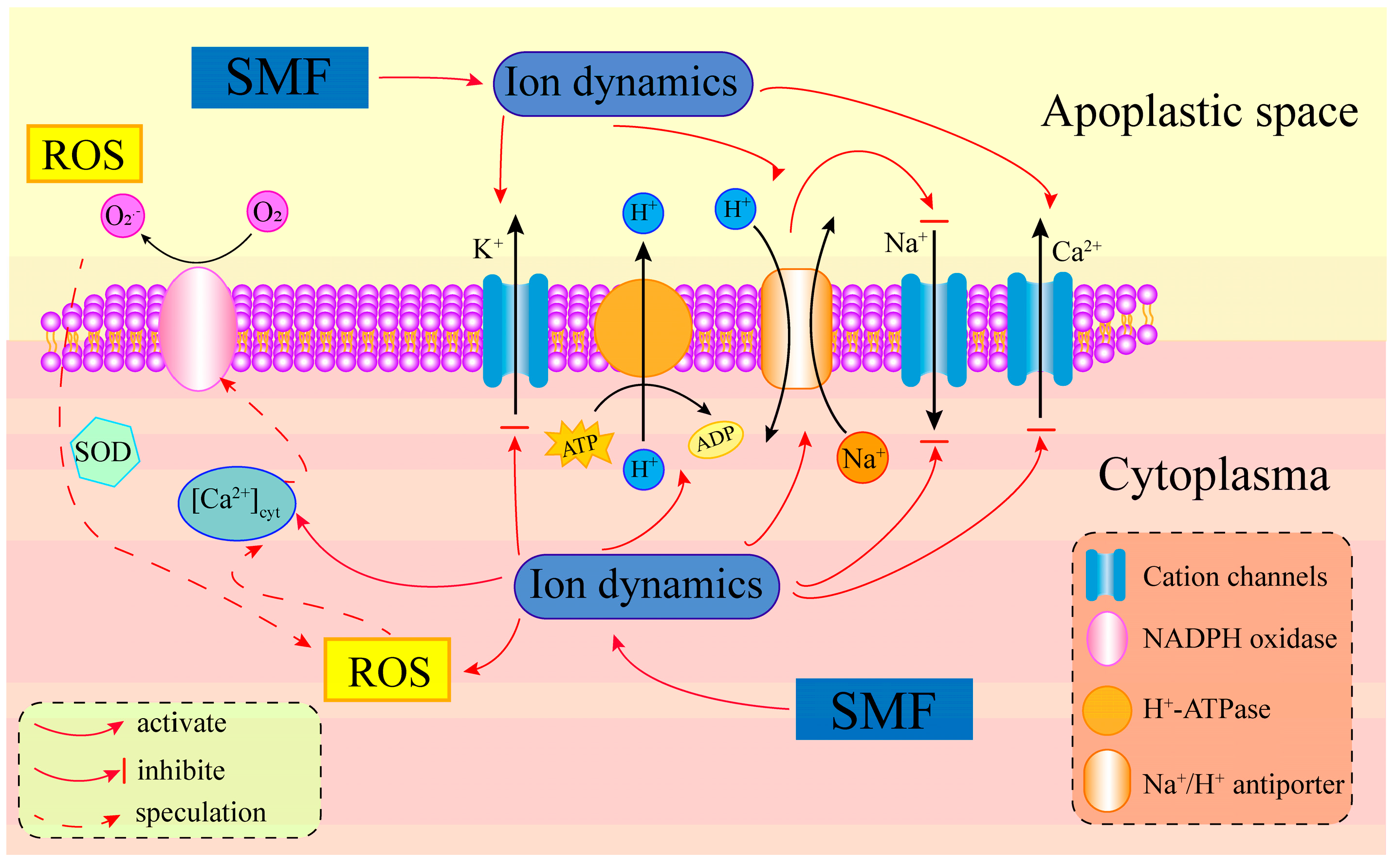 Forests 15 00138 g010