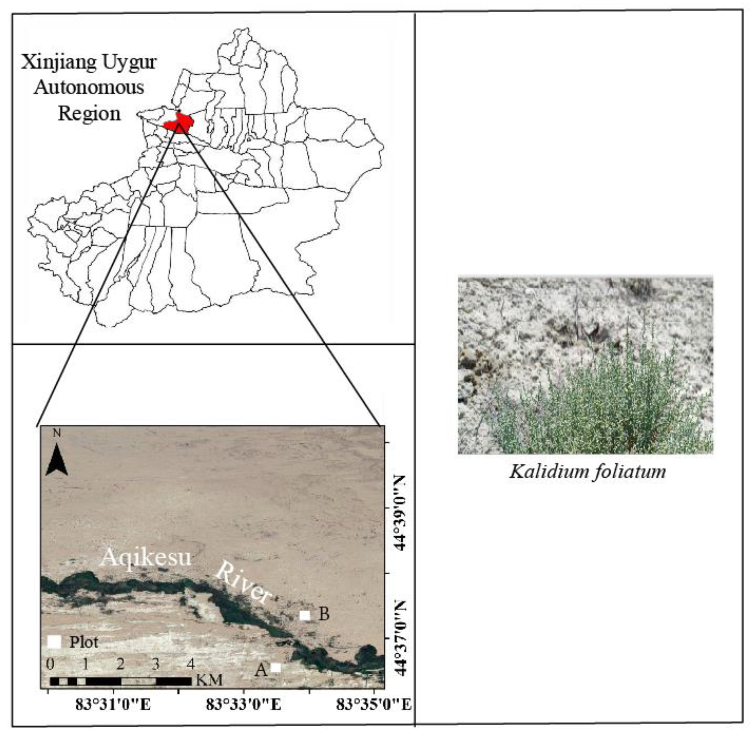 Forests 15 00148 g001