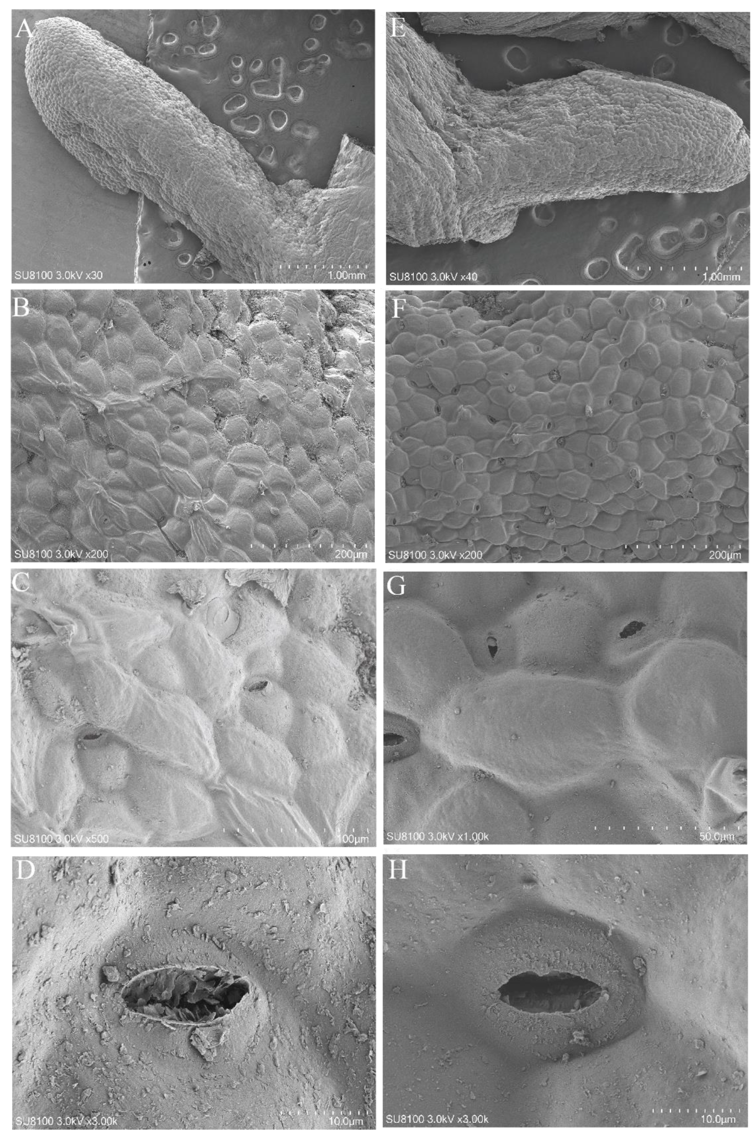 Forests 15 00148 g003