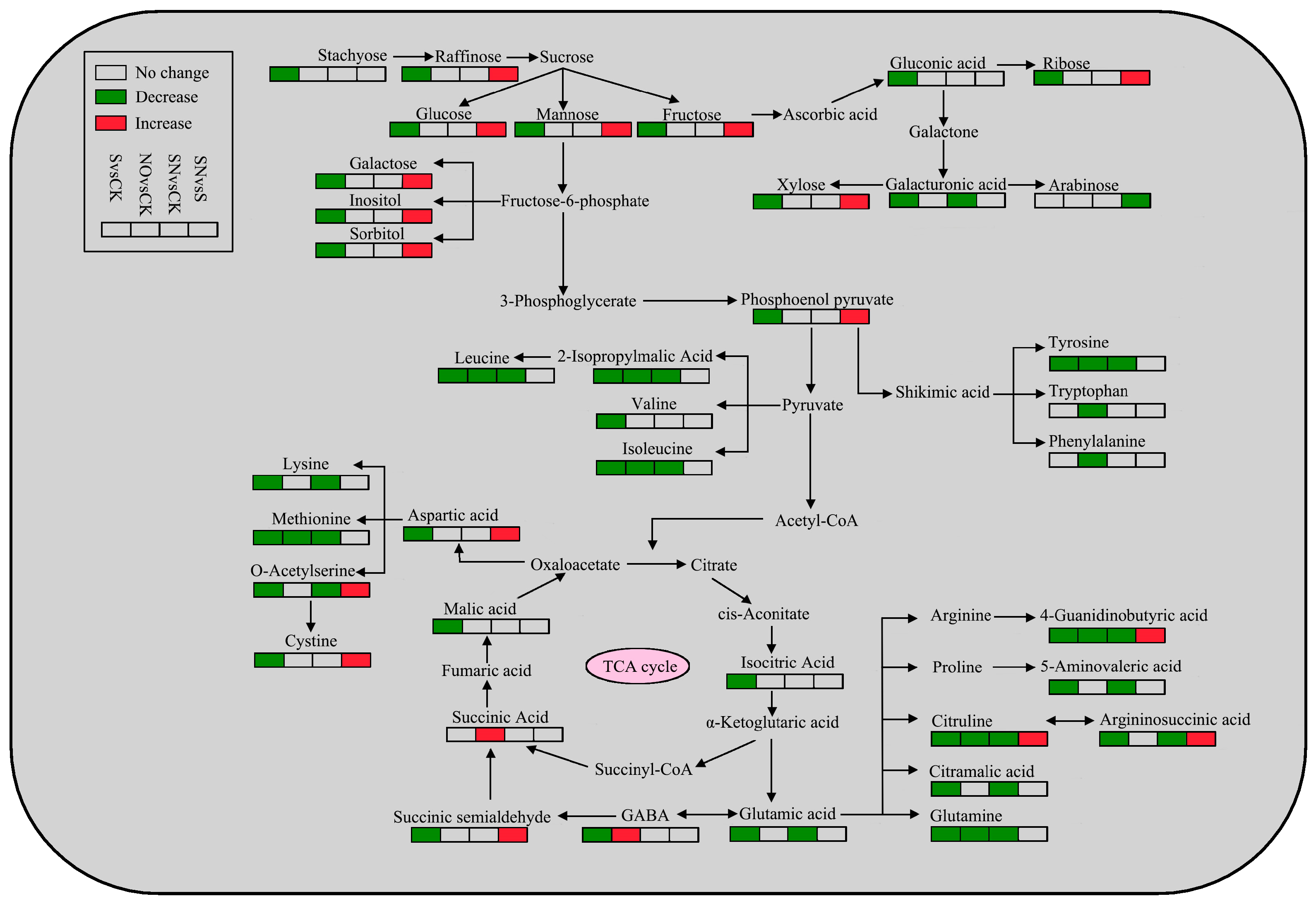 Forests 15 00159 g010