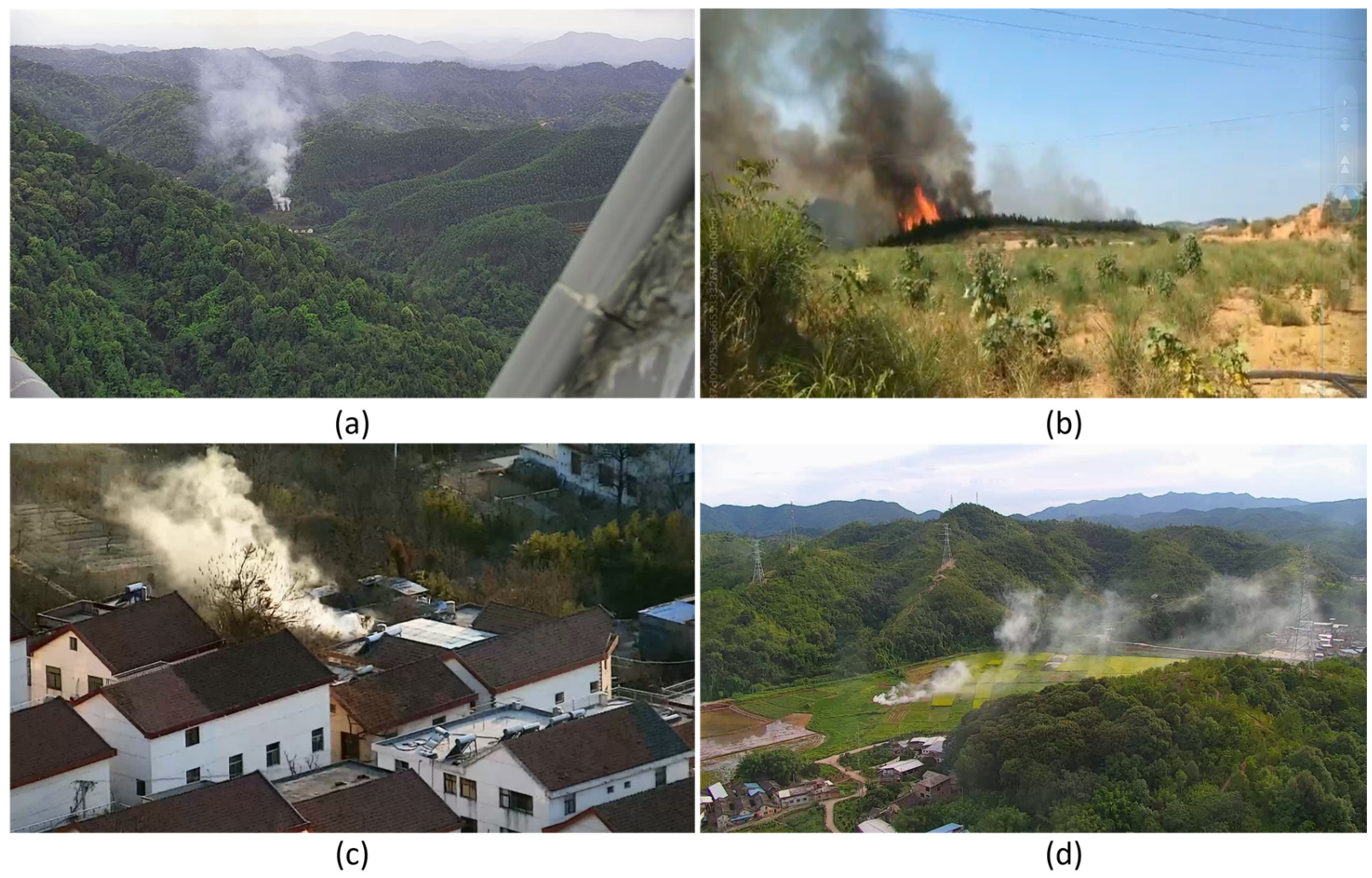 Forests 15 00210 g005