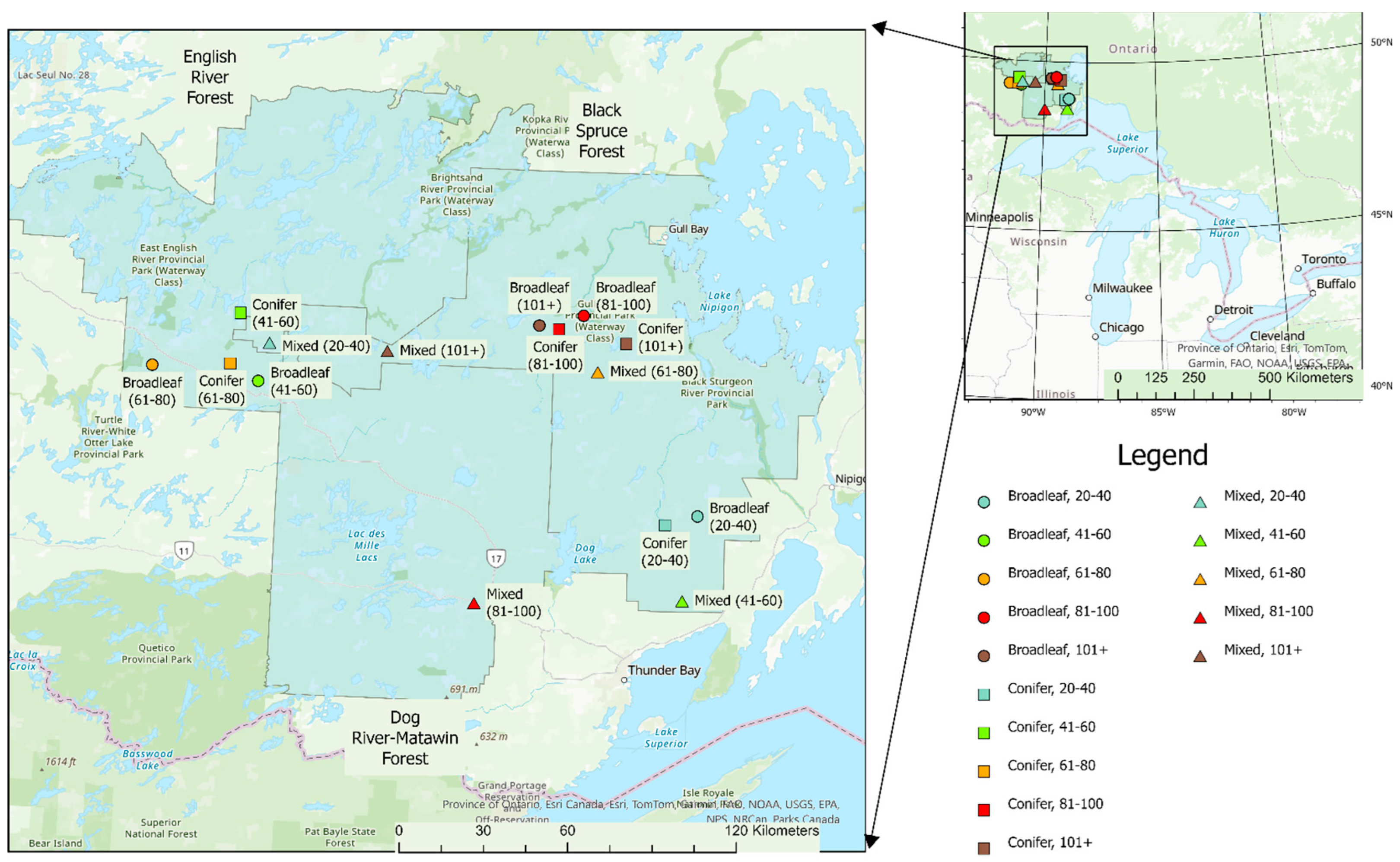 Forests 15 00214 g001