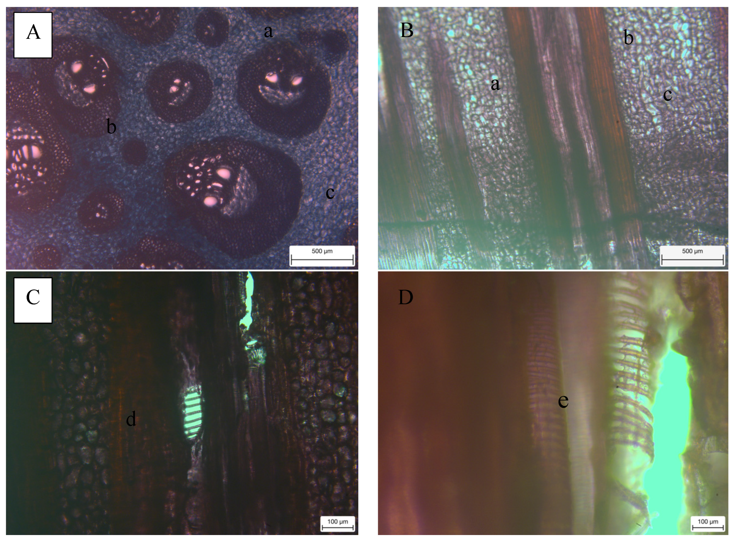 Forests 15 00239 g002