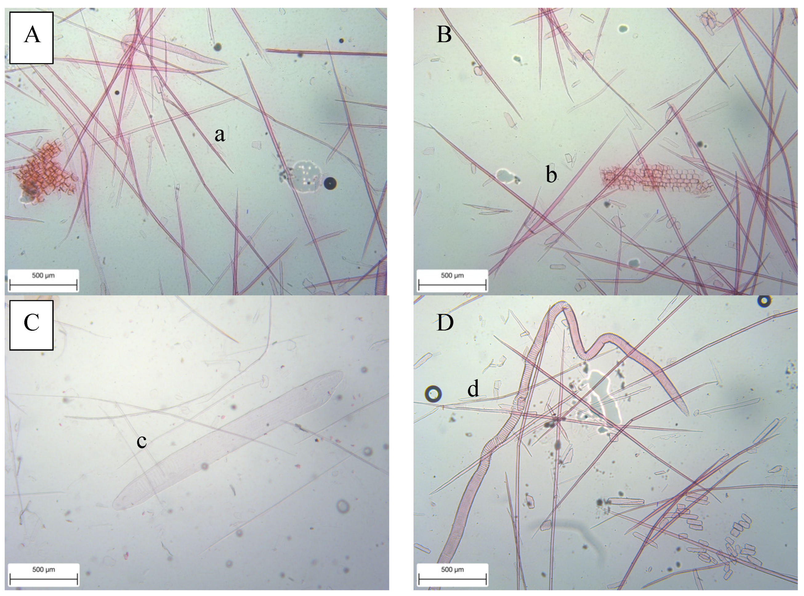 Forests 15 00239 g003