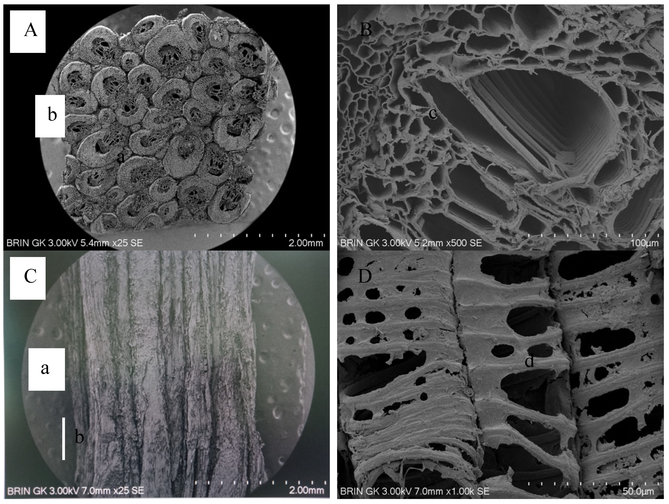 Forests 15 00239 g004