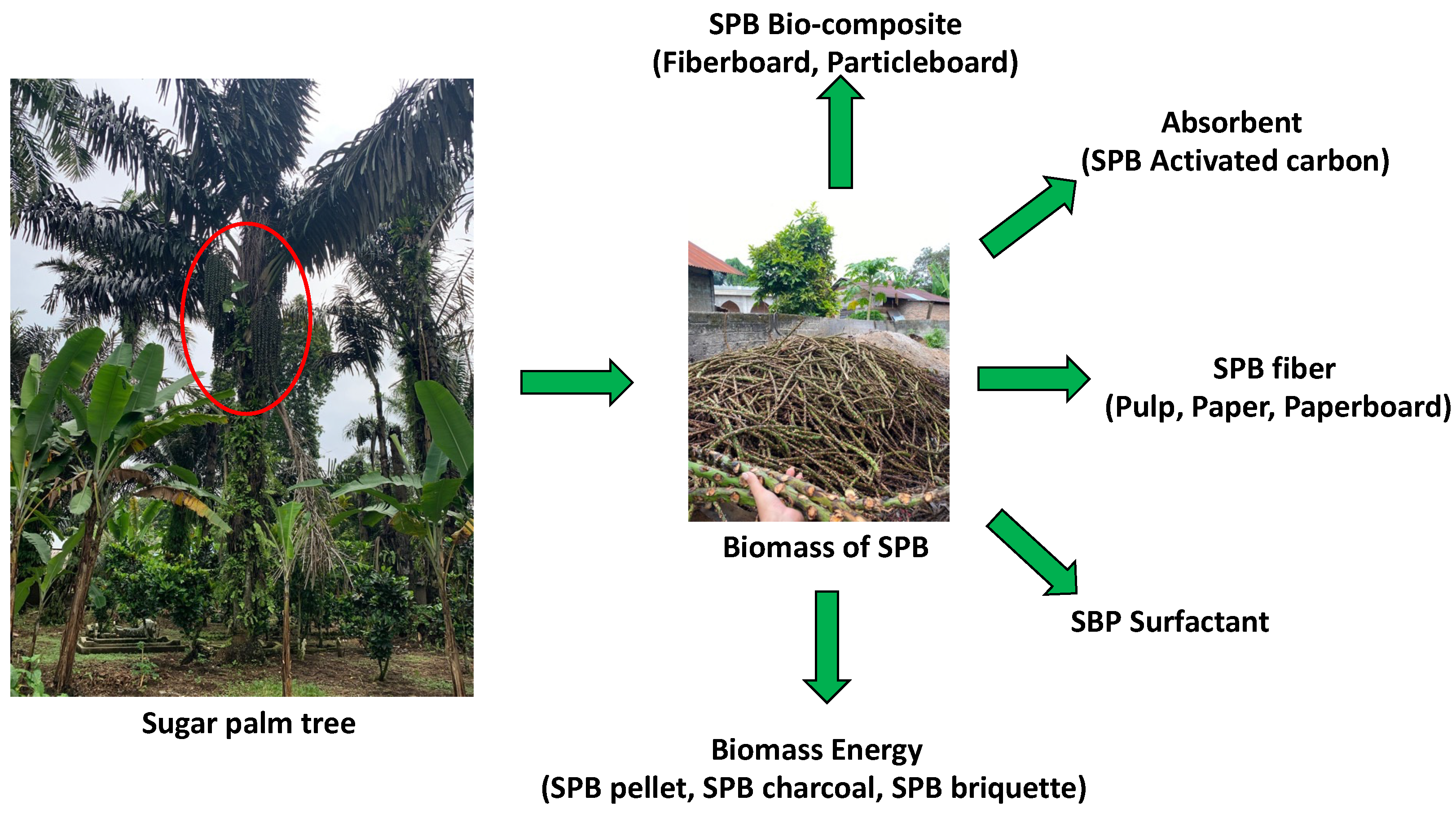 Forests 15 00239 g009