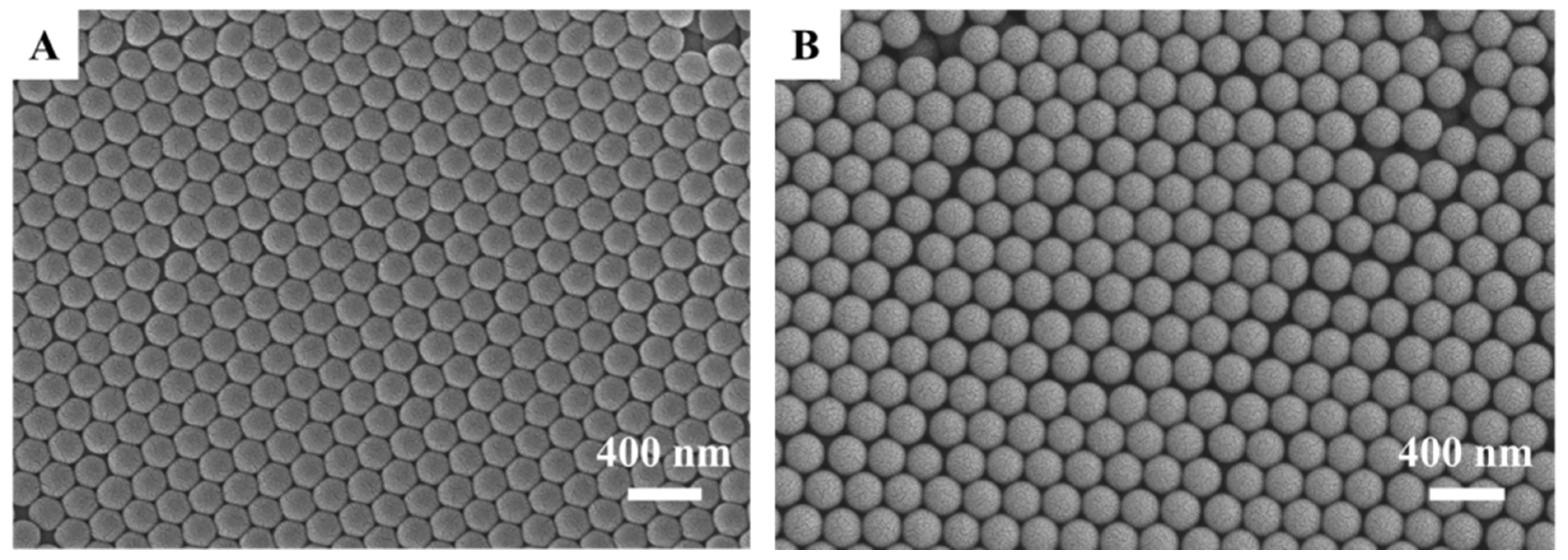 Forests 15 00261 g002
