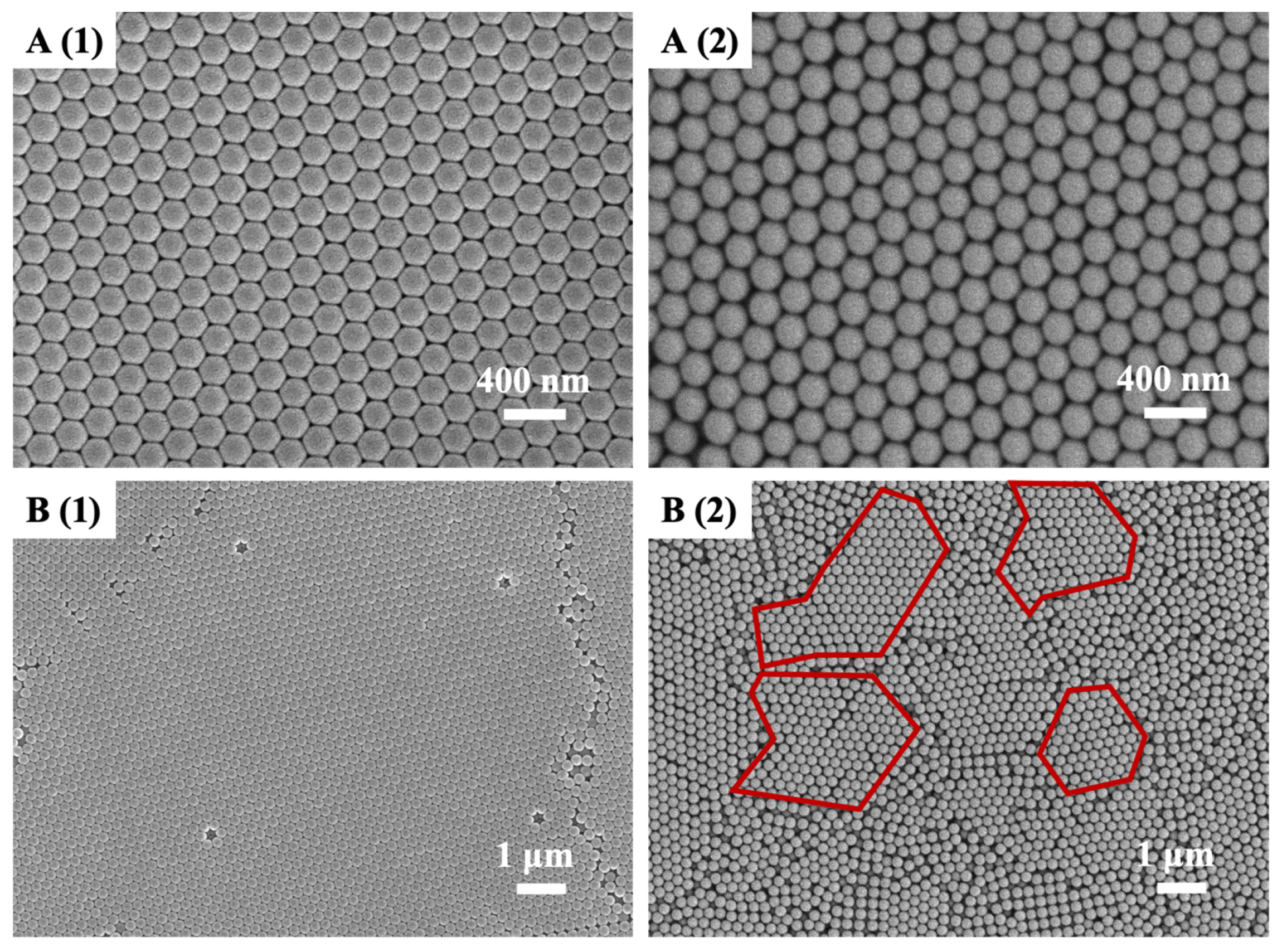 Forests 15 00261 g004