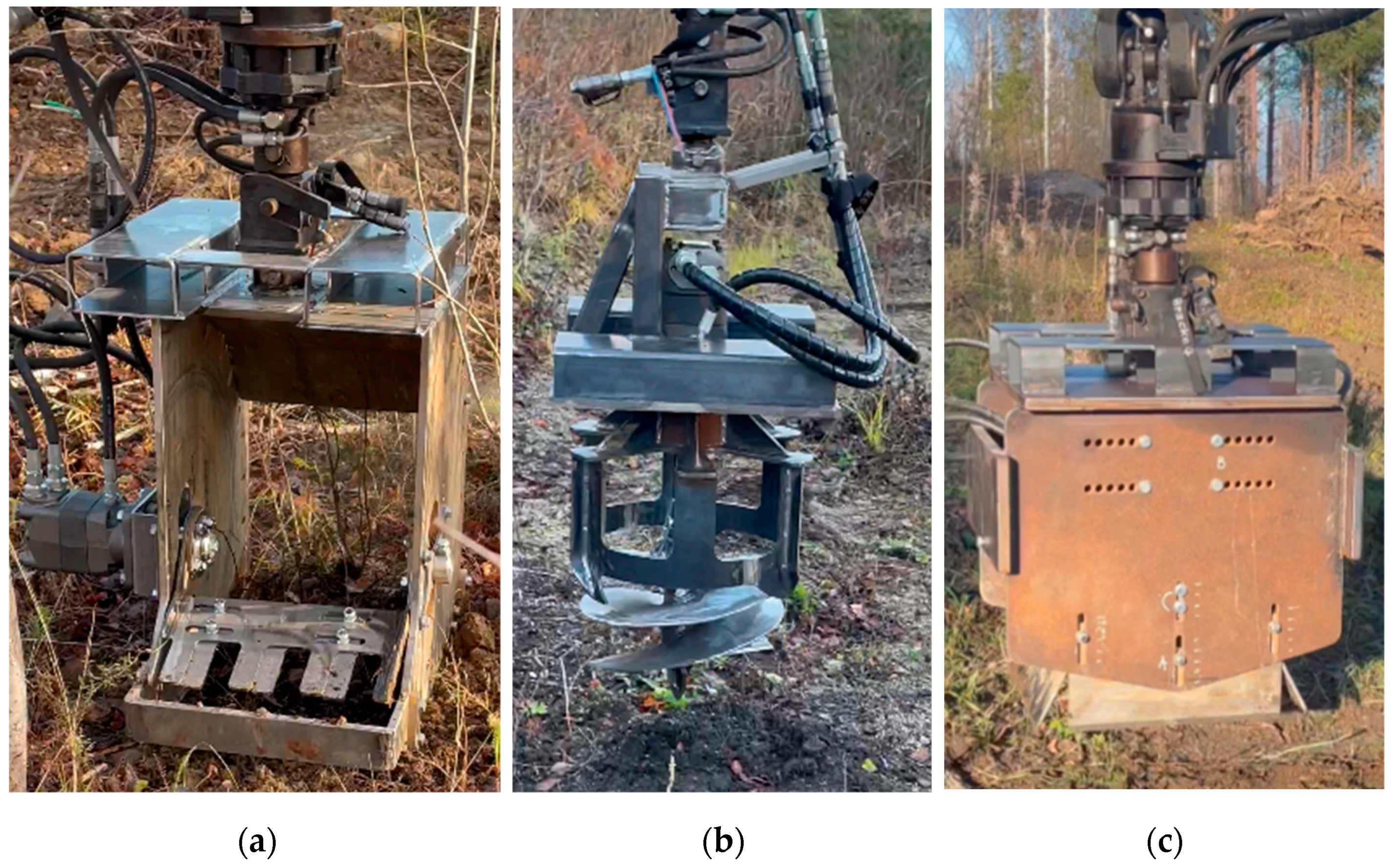 Forests 15 00263 g006