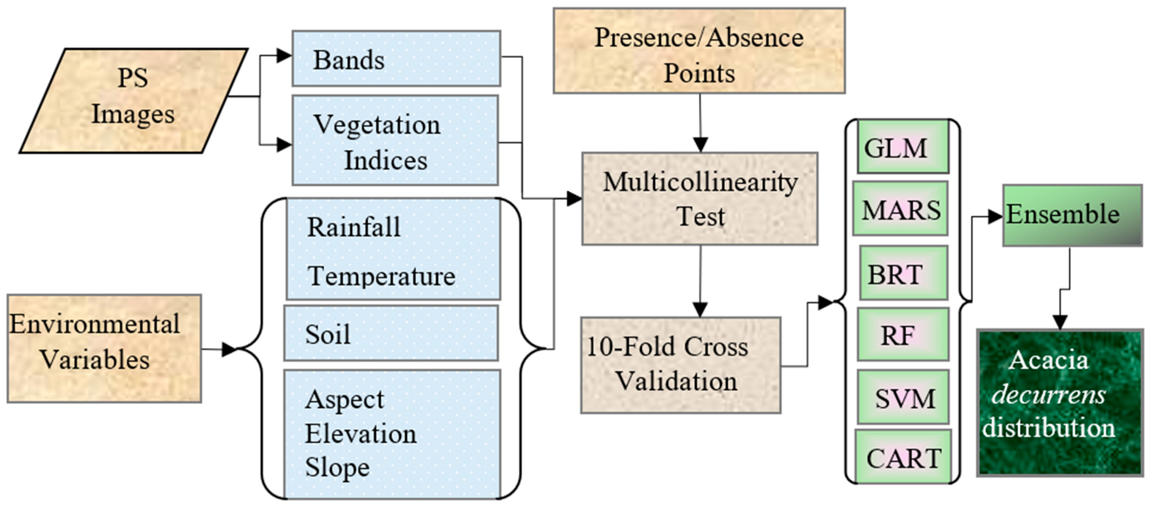 Forests 15 00277 g002