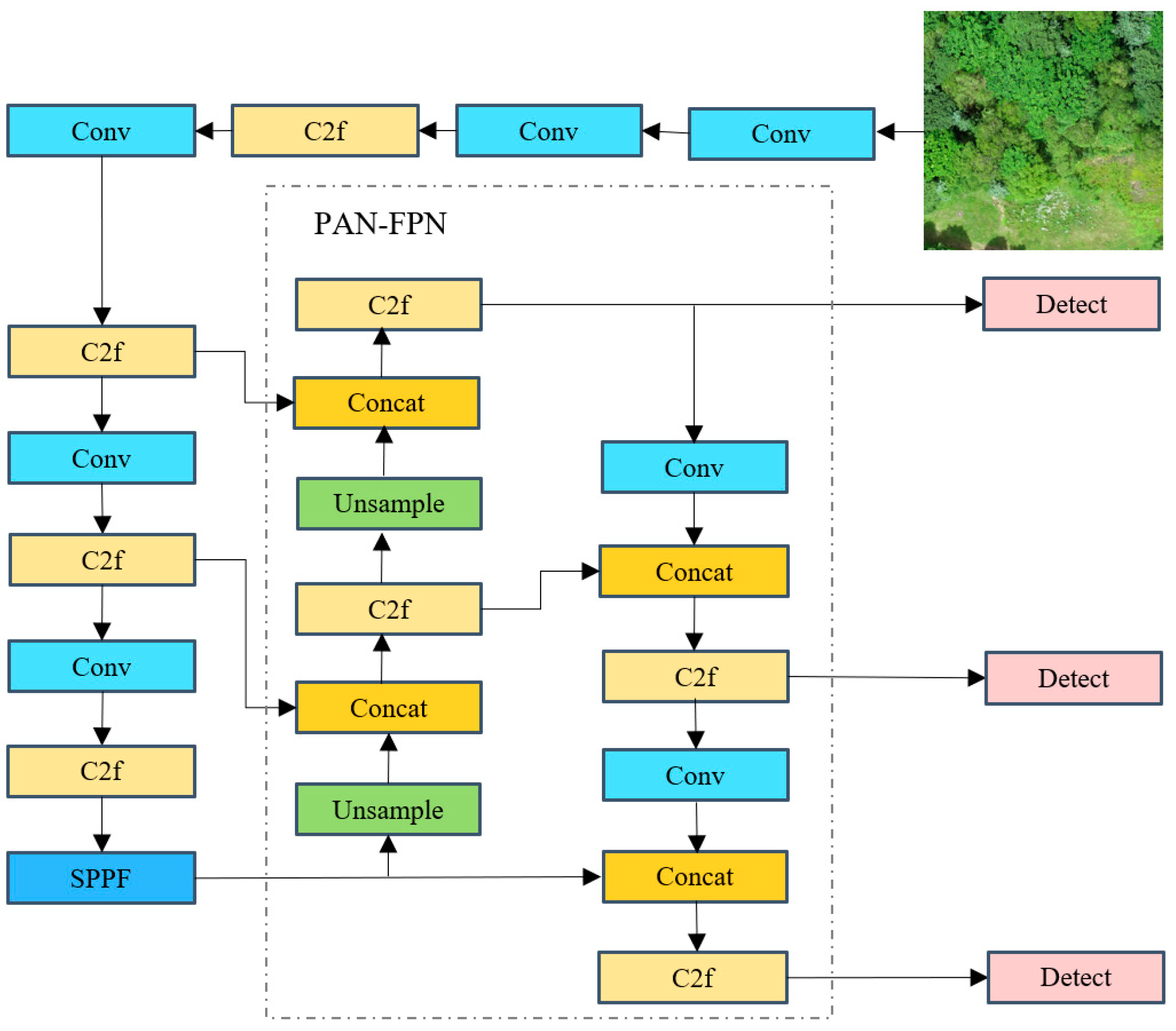 Forests 15 00293 g005