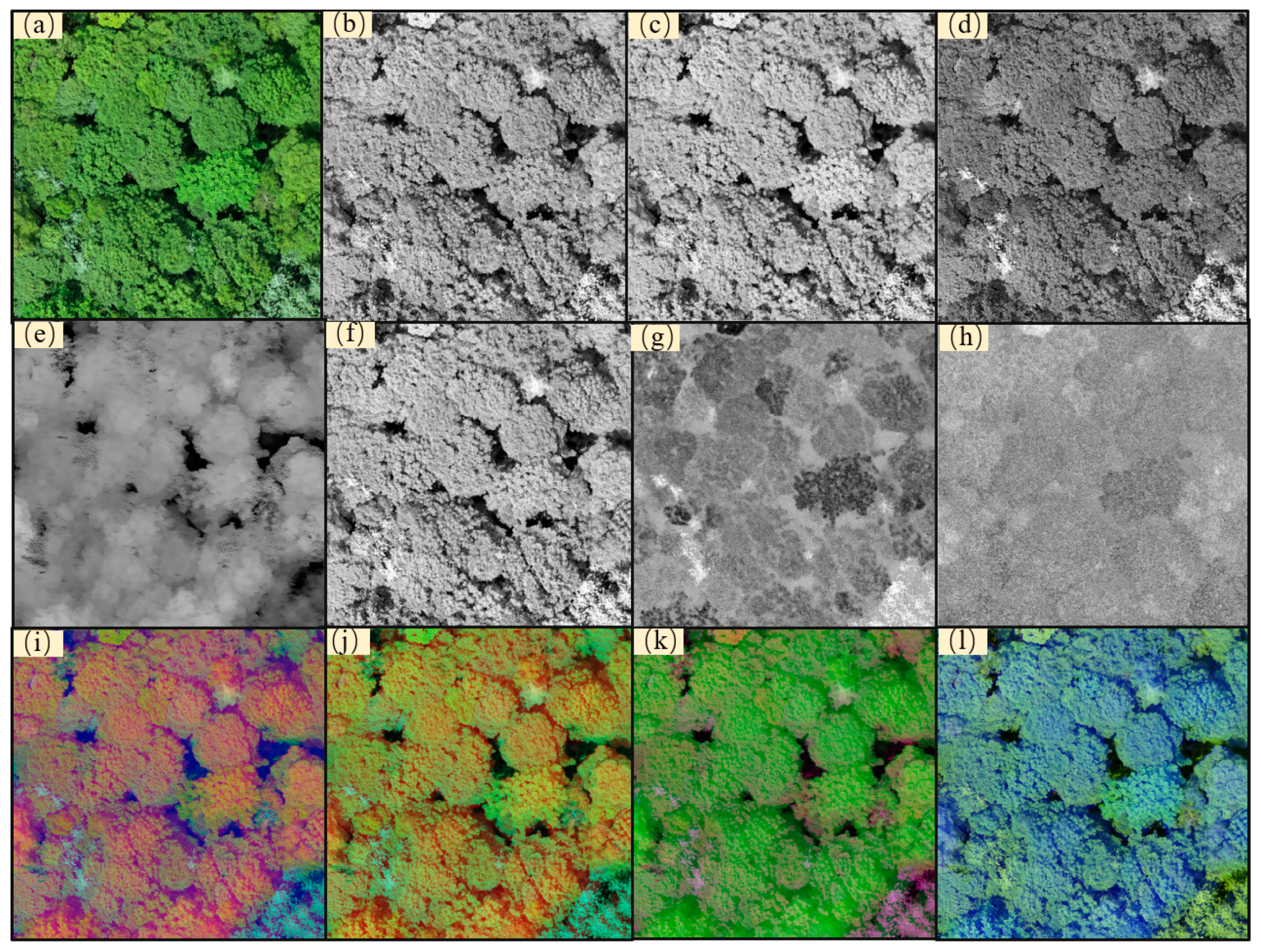 Forests 15 00293 g009
