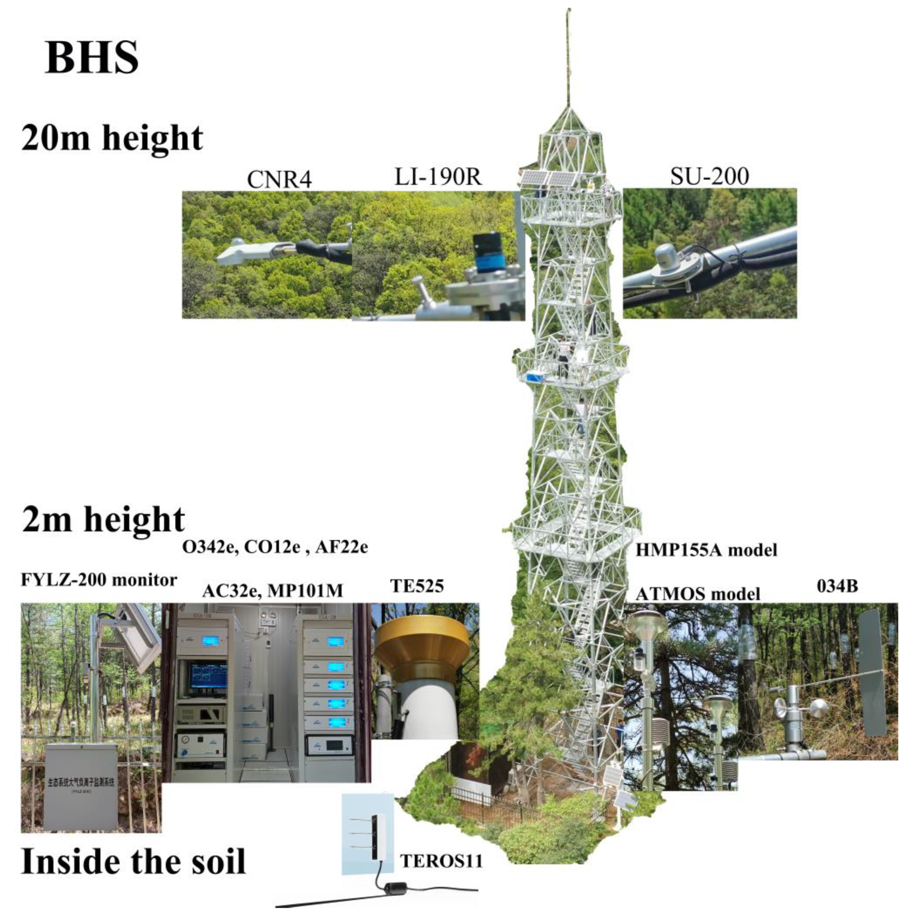 Forests 15 00295 g0a1 Forests 15 00295 g0a1