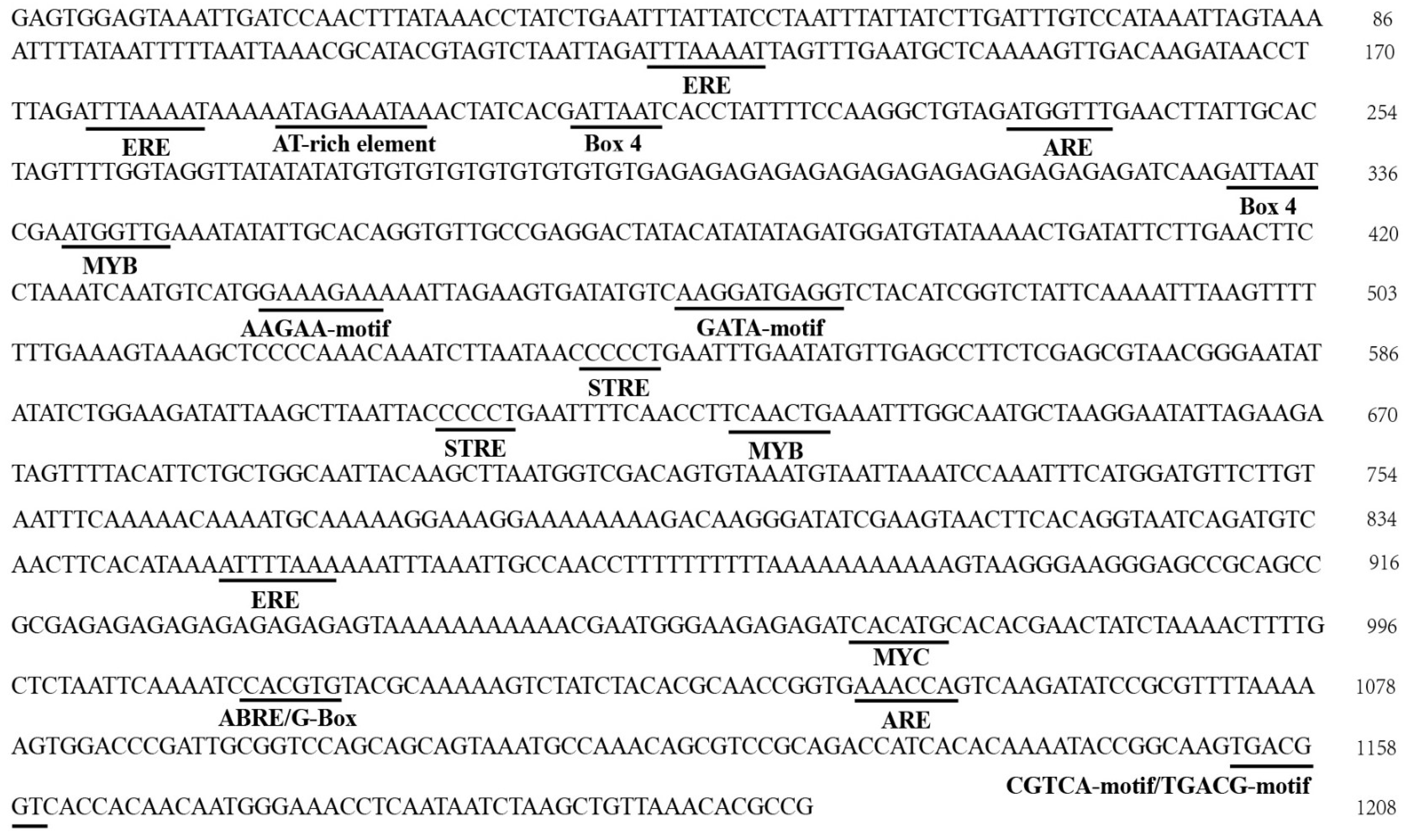 Forests 15 00302 g007