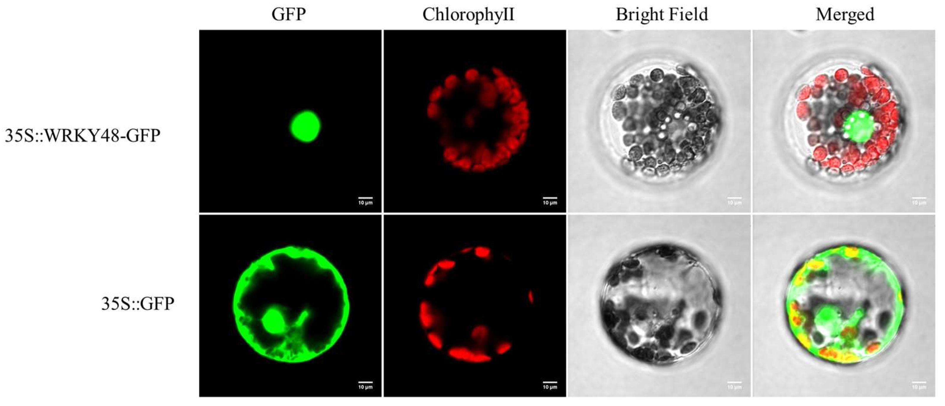 Forests 15 00302 g008