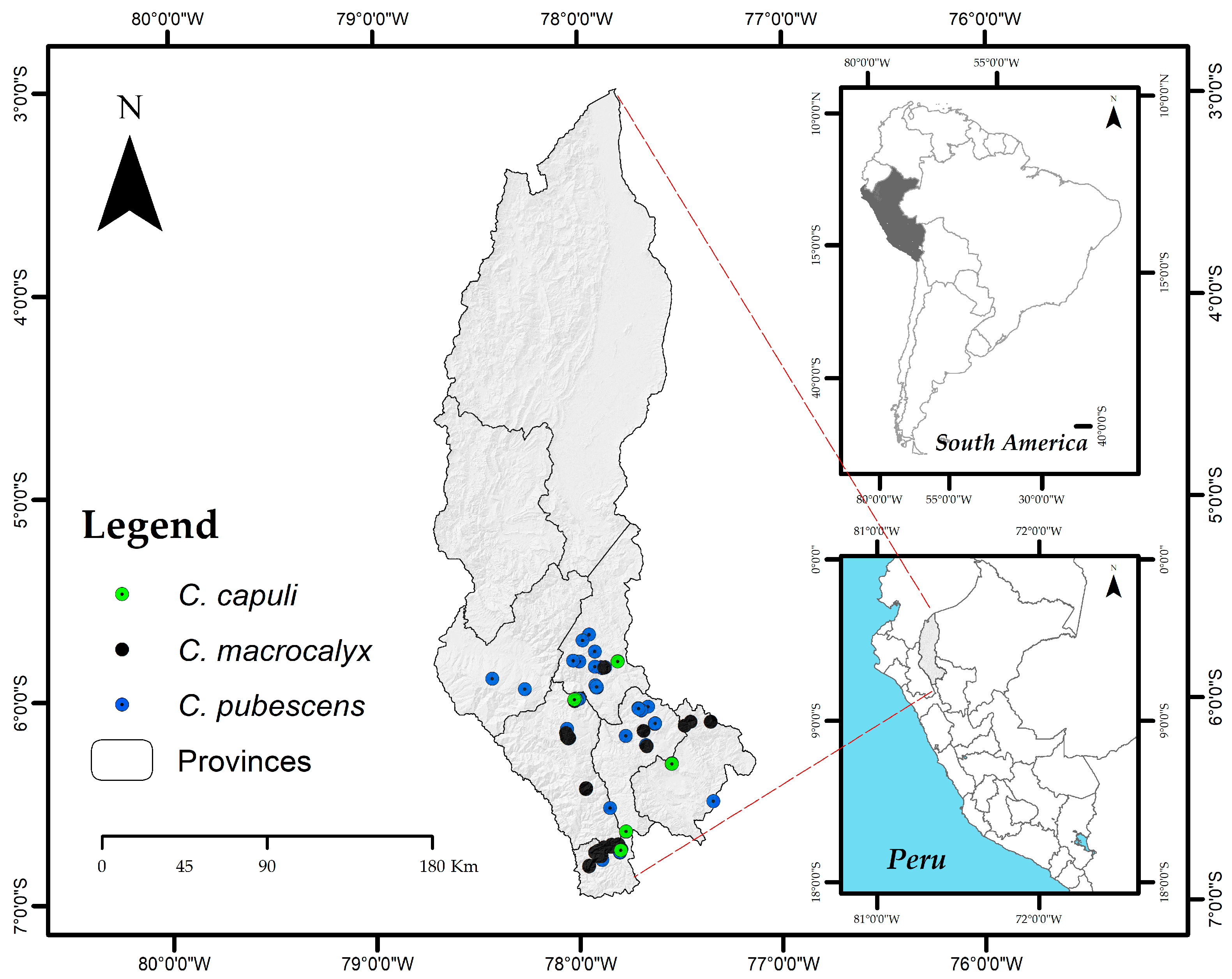 Forests 15 00321 g001
