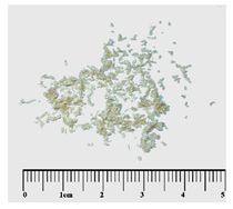 Forests 15 00325 i005