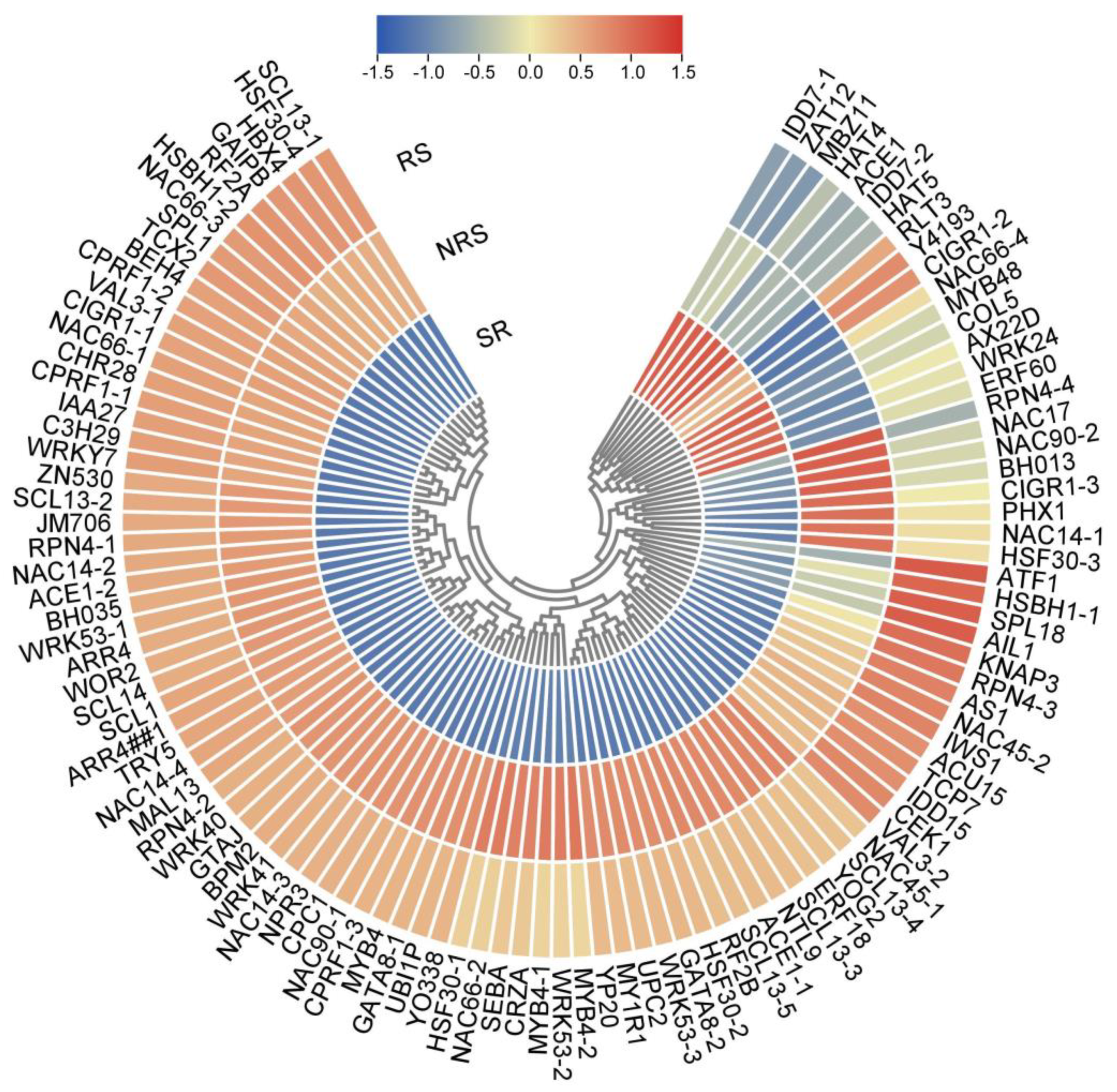 Forests 15 00335 g005