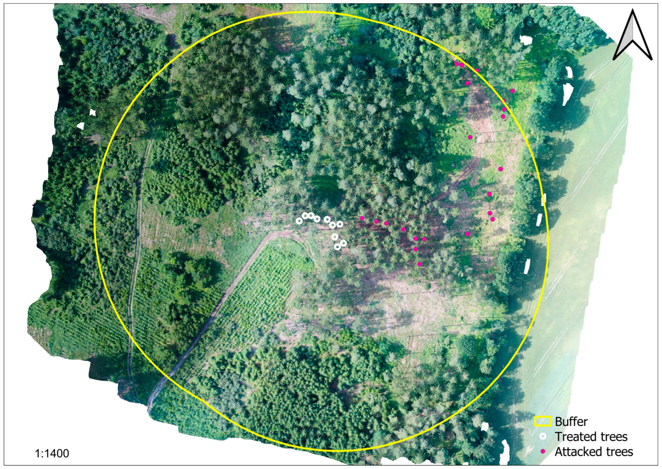 Forests 15 00356 g004
