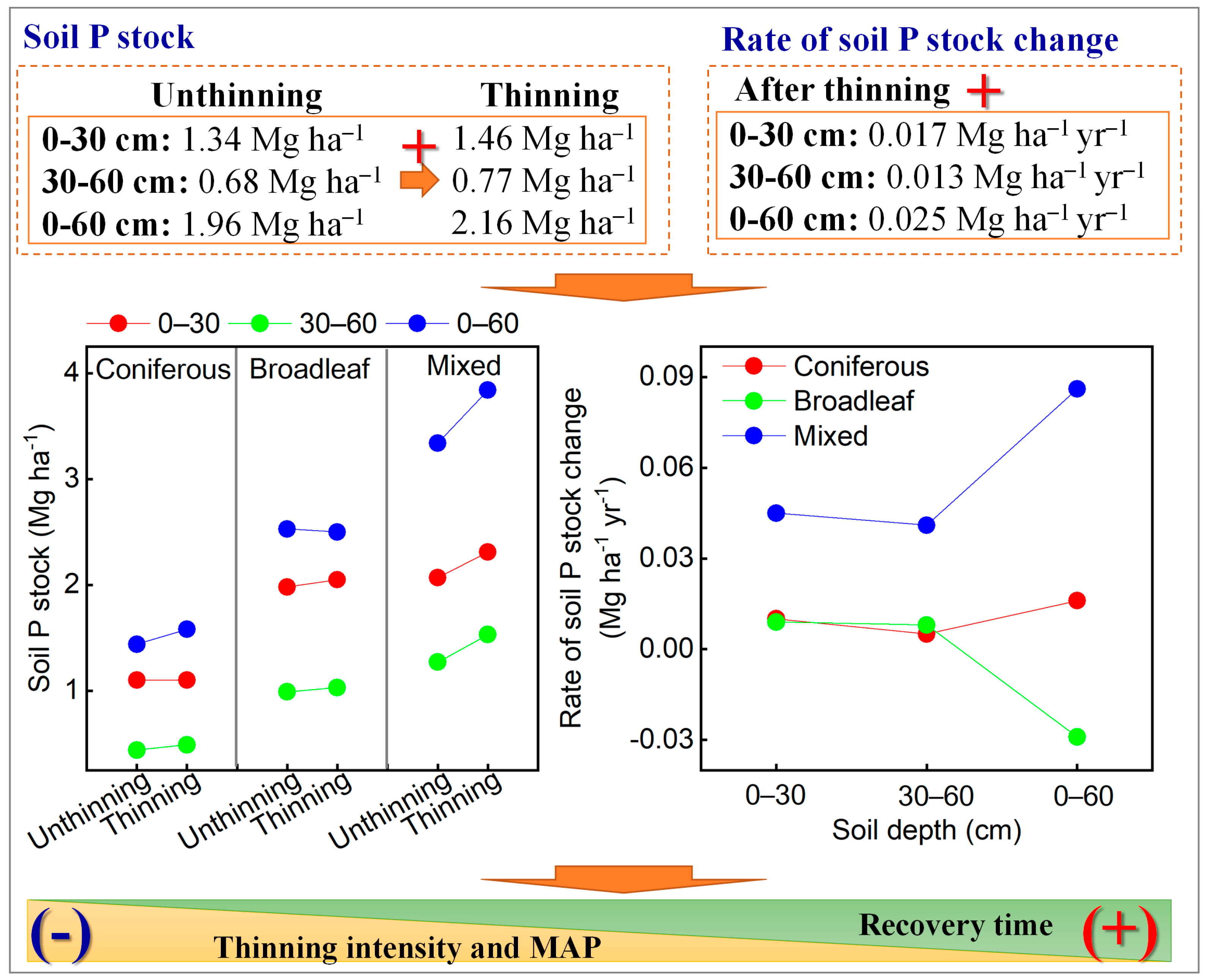 Forests 15 00362 g006