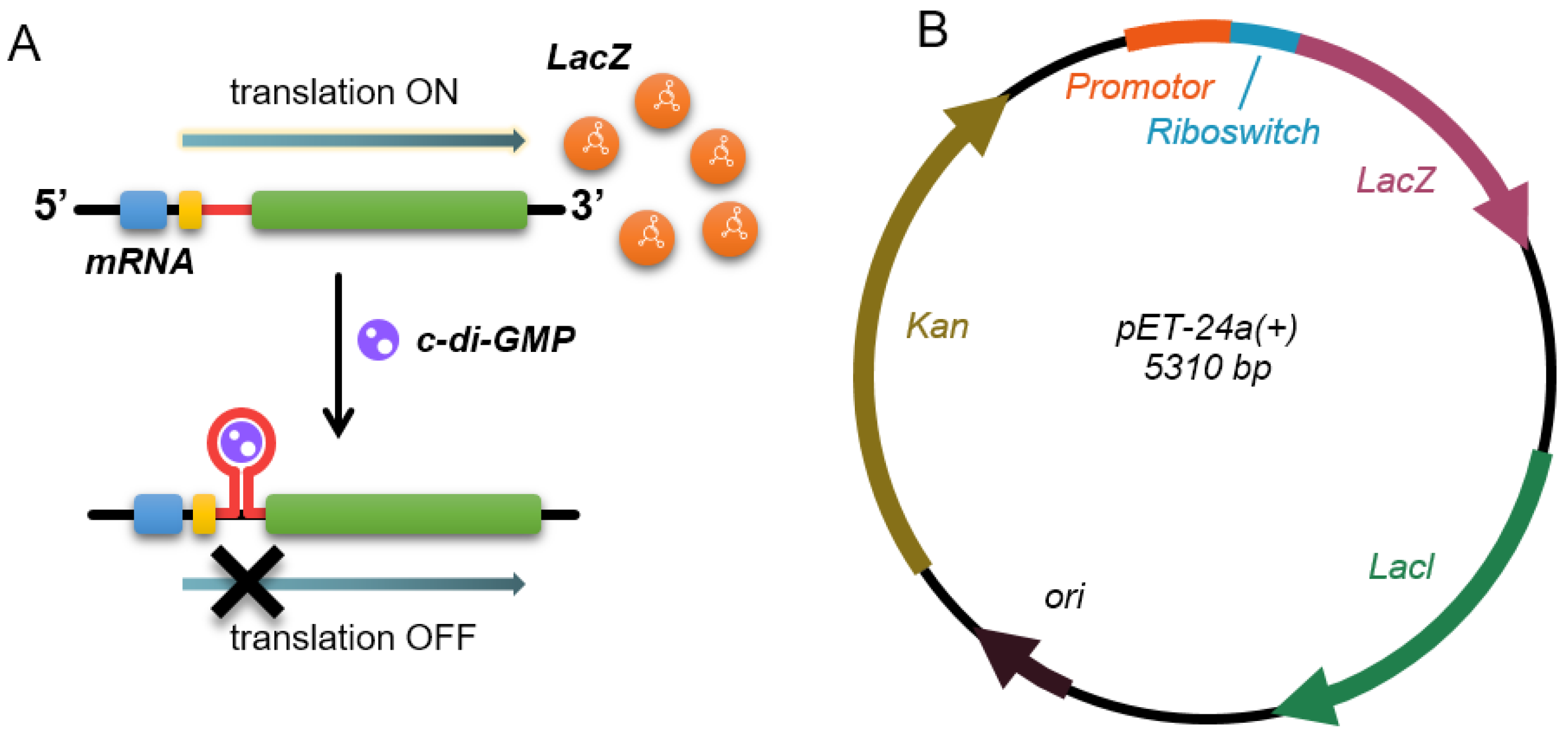 Forests 15 00367 g001