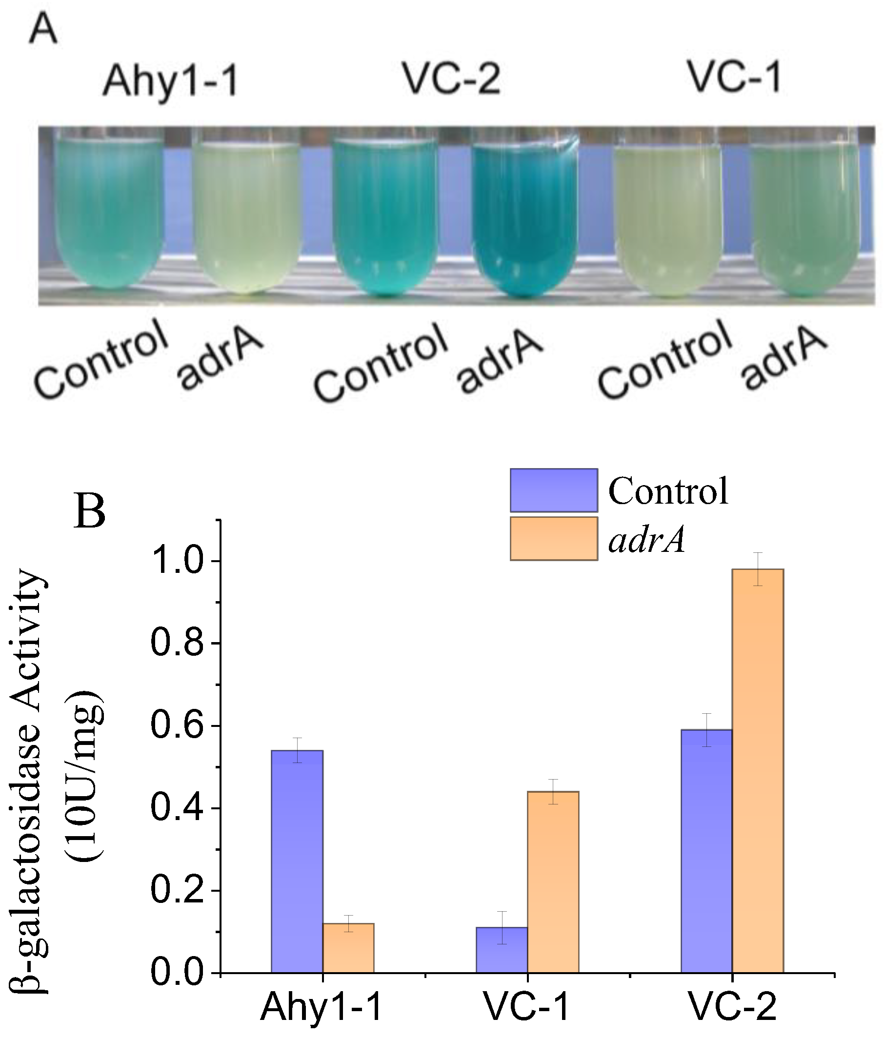 Forests 15 00367 g004