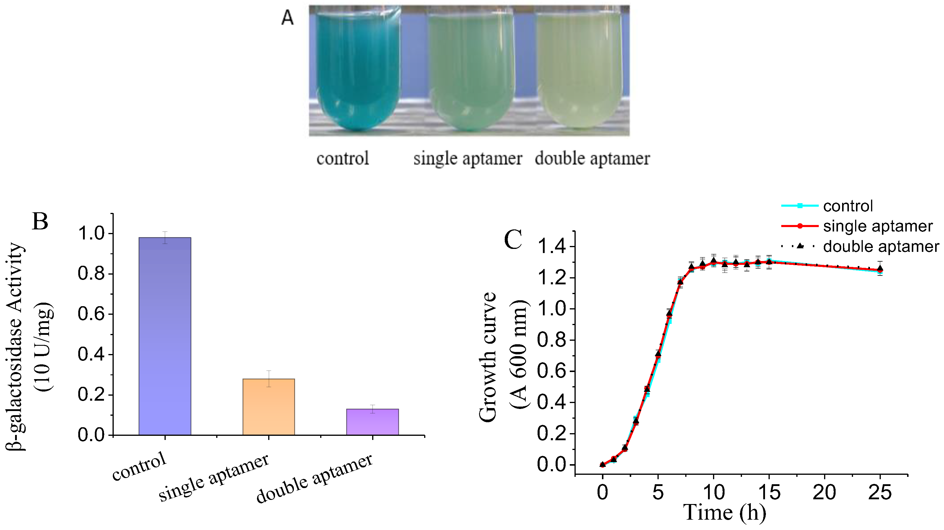 Forests 15 00367 g005