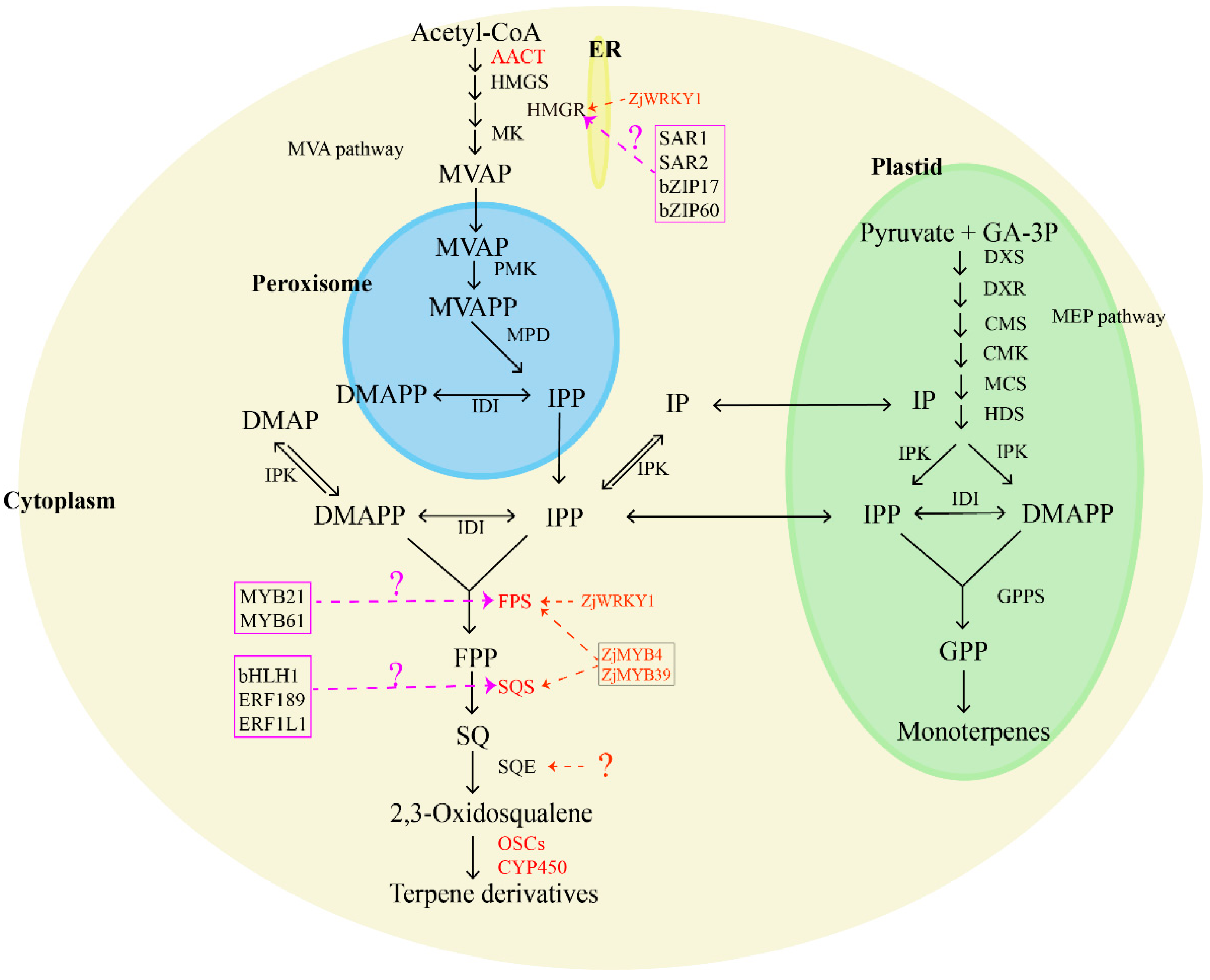 Forests 15 00395 g002