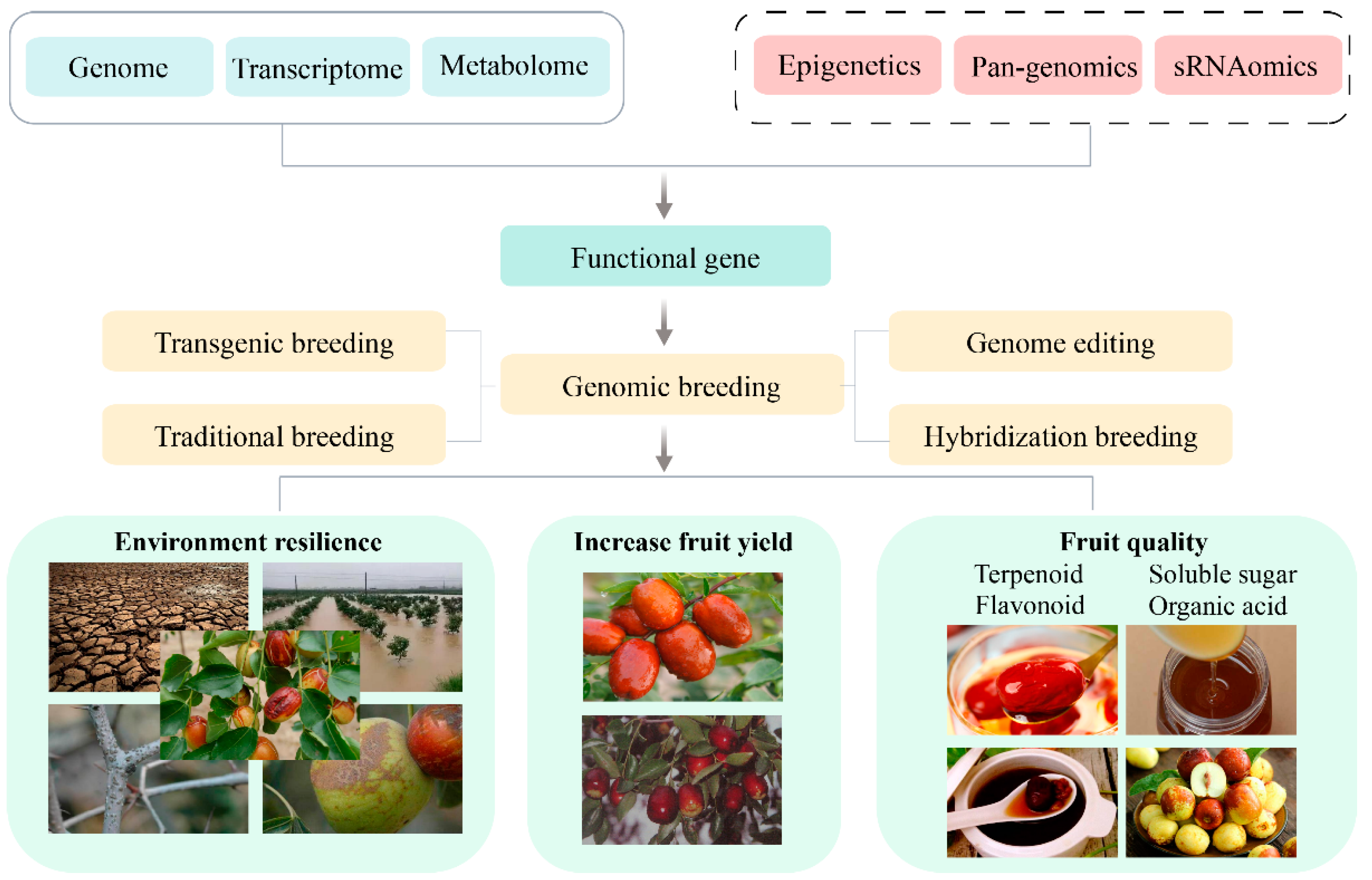 Forests 15 00395 g003