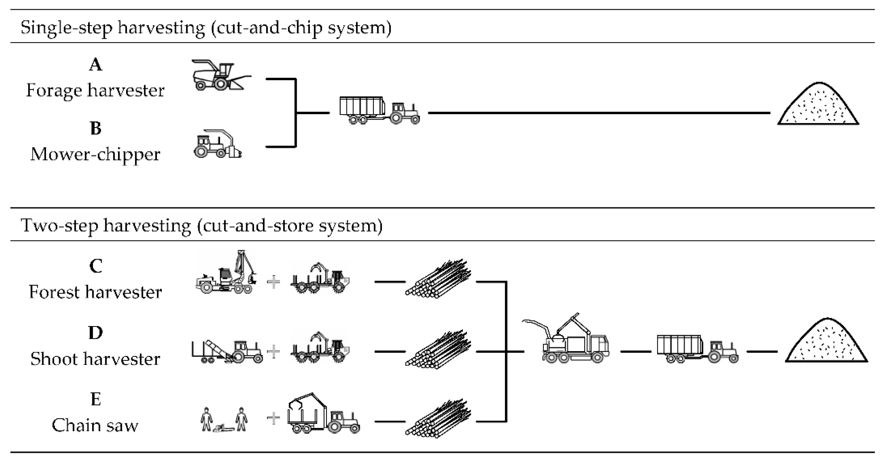 Forests 15 00397 g004