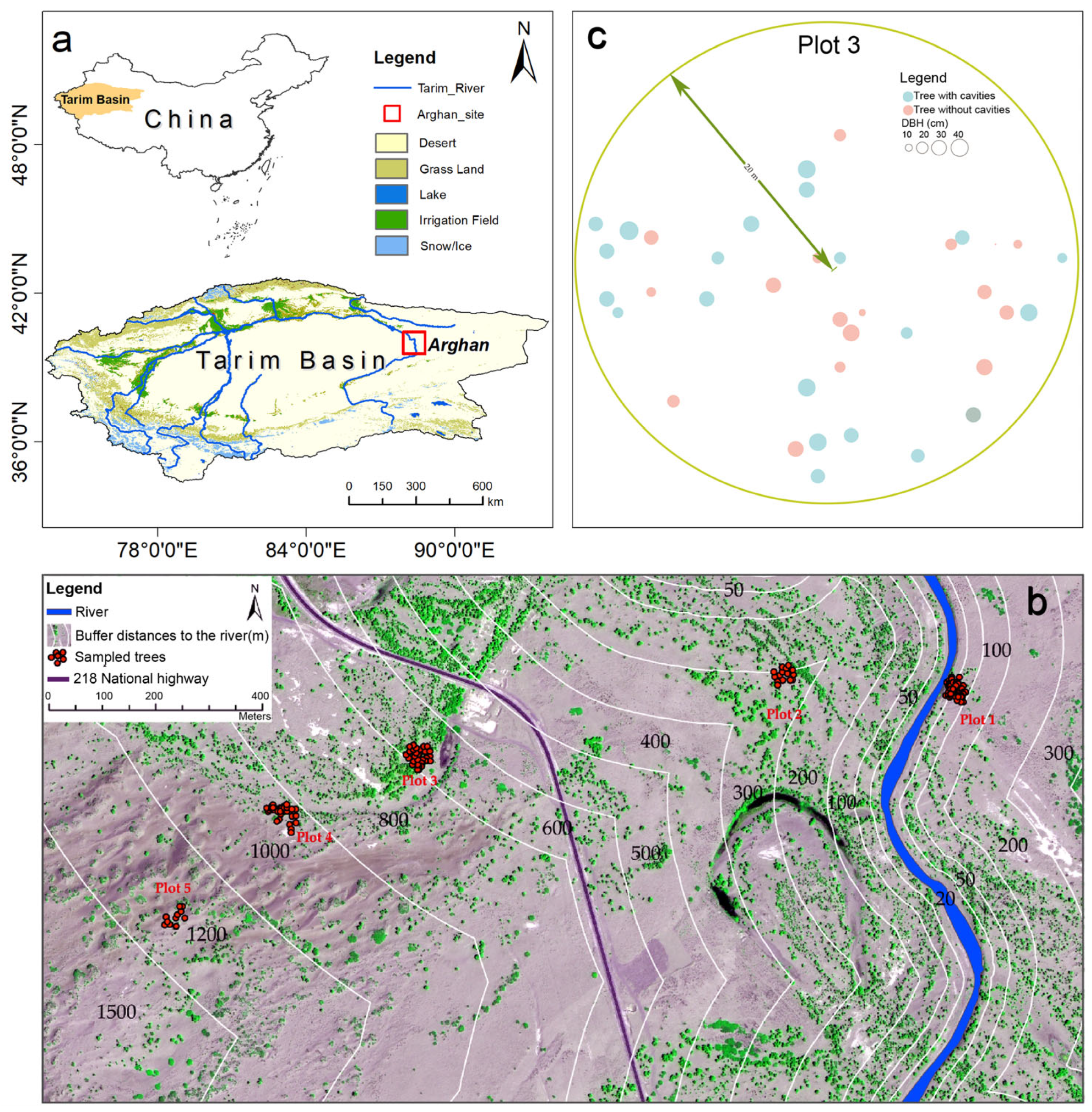 Forests 15 00421 g001