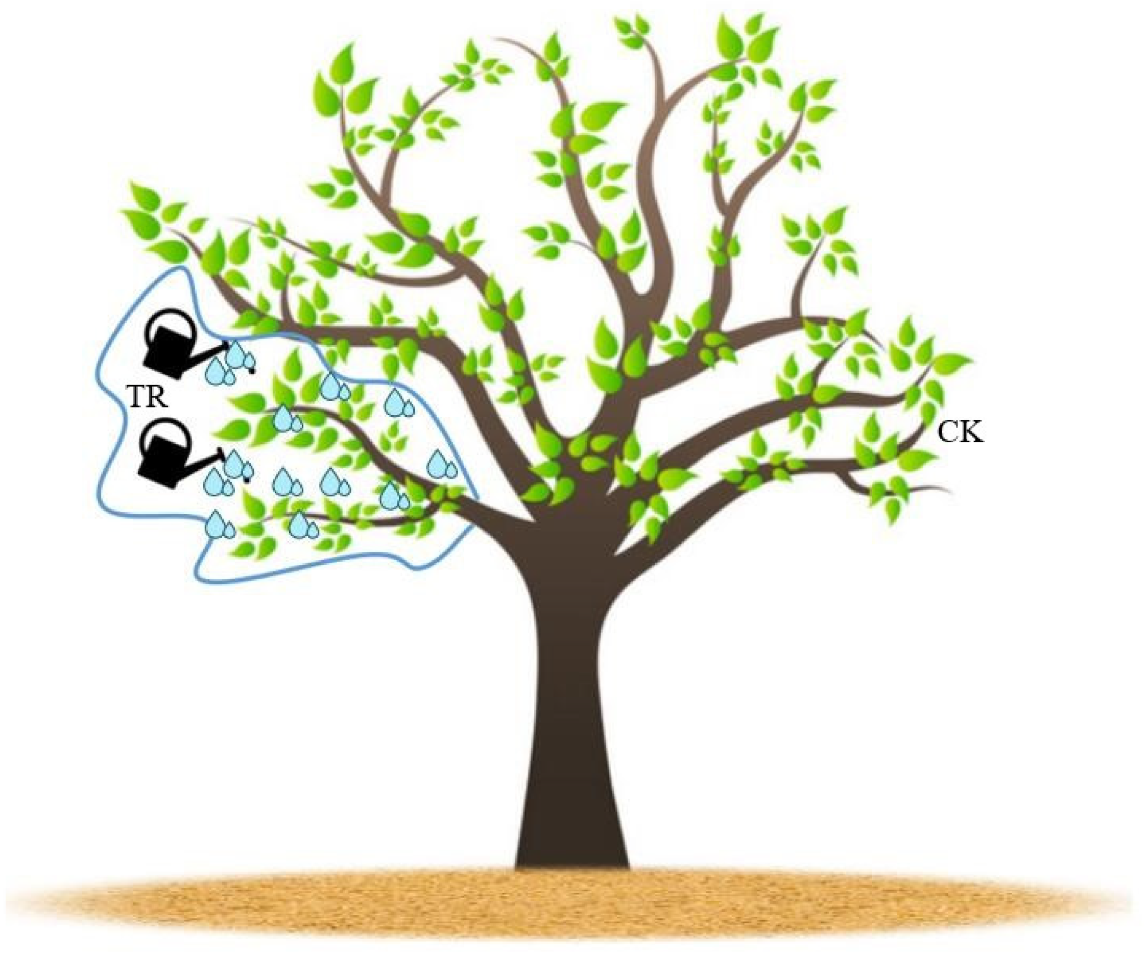 Forests 15 00430 g001