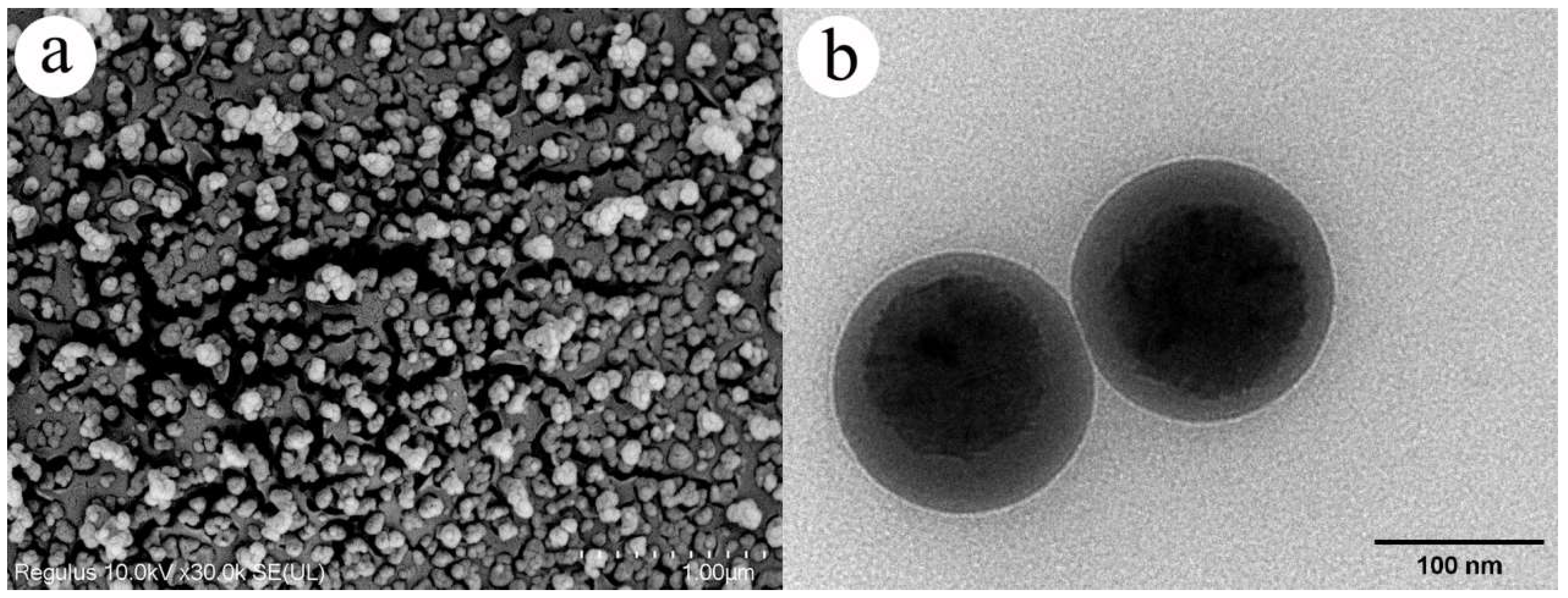 Forests 15 00444 g001