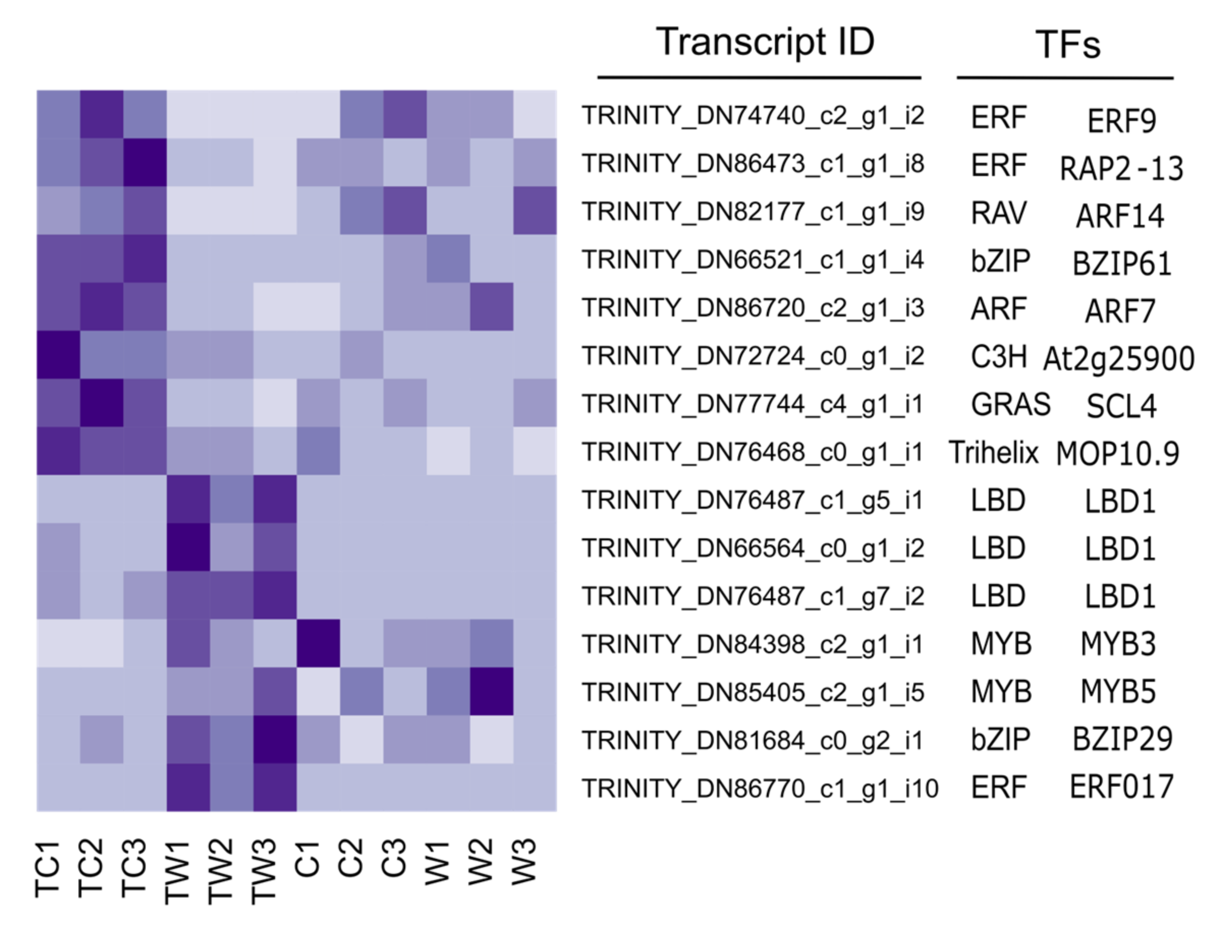 Forests 15 00445 g005