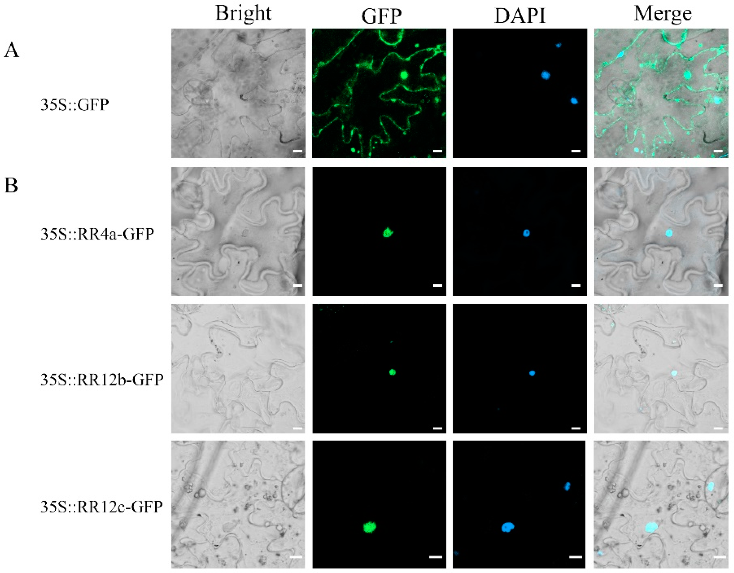 Forests 15 00473 g002