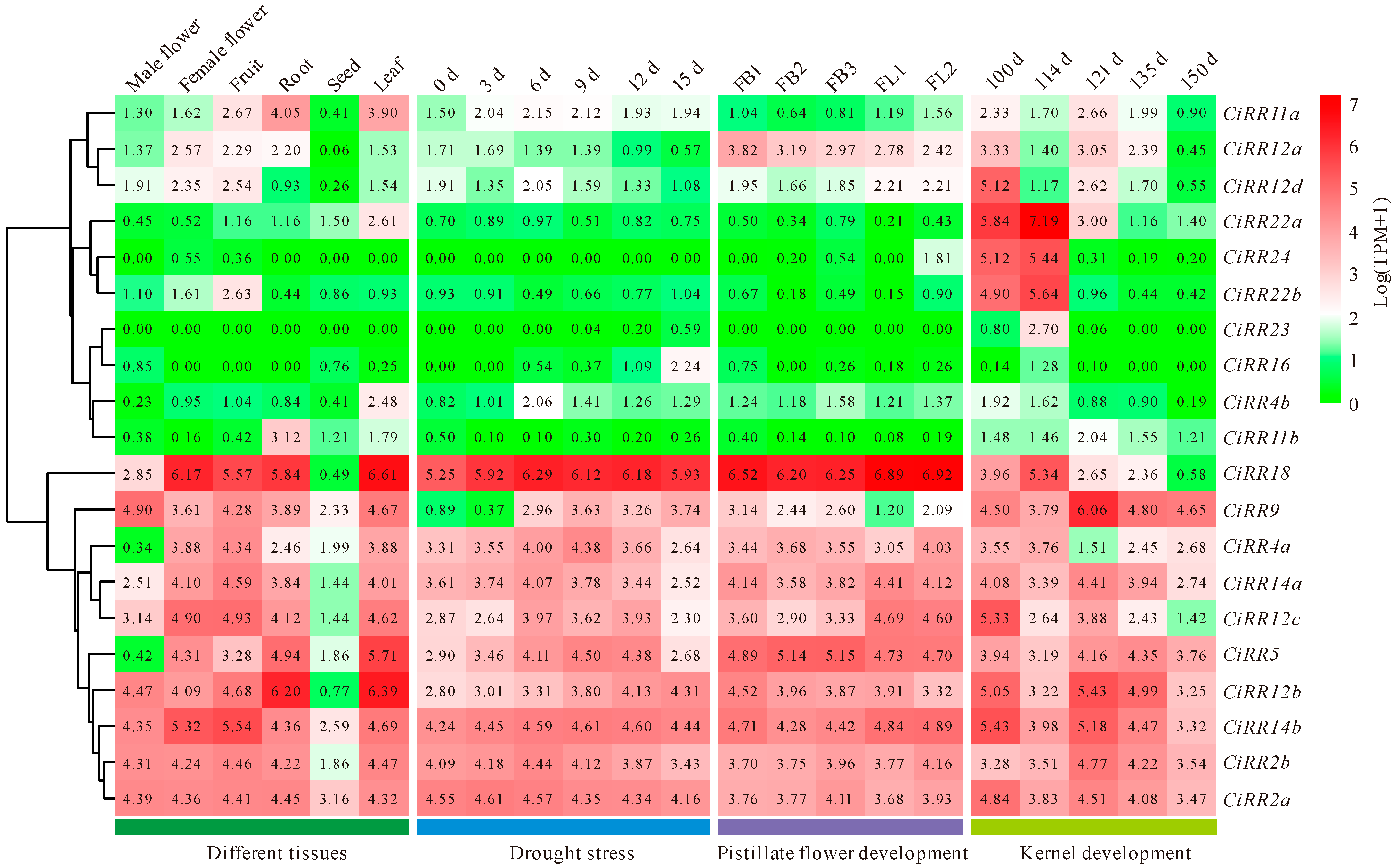 Forests 15 00473 g007