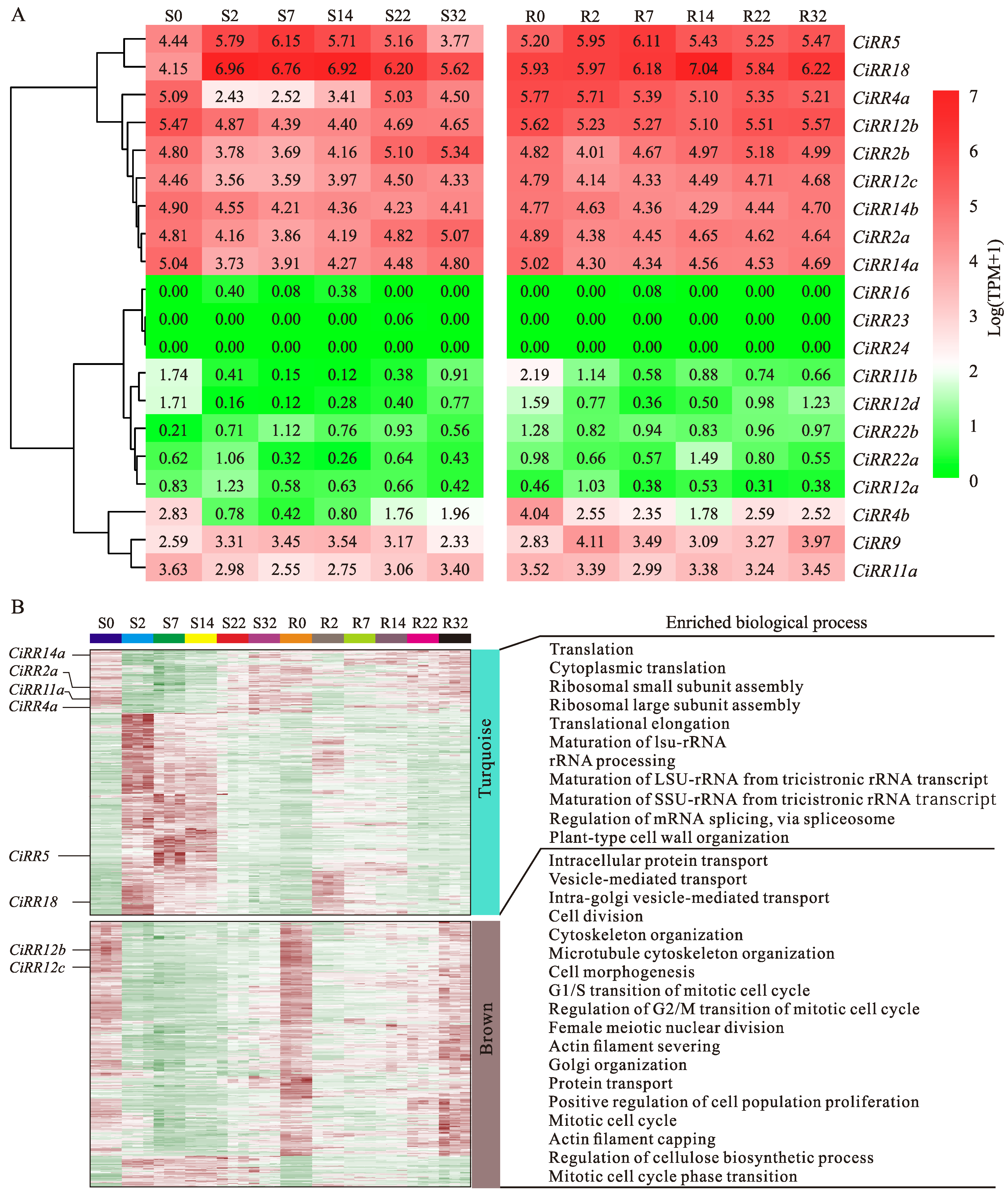 Forests 15 00473 g008