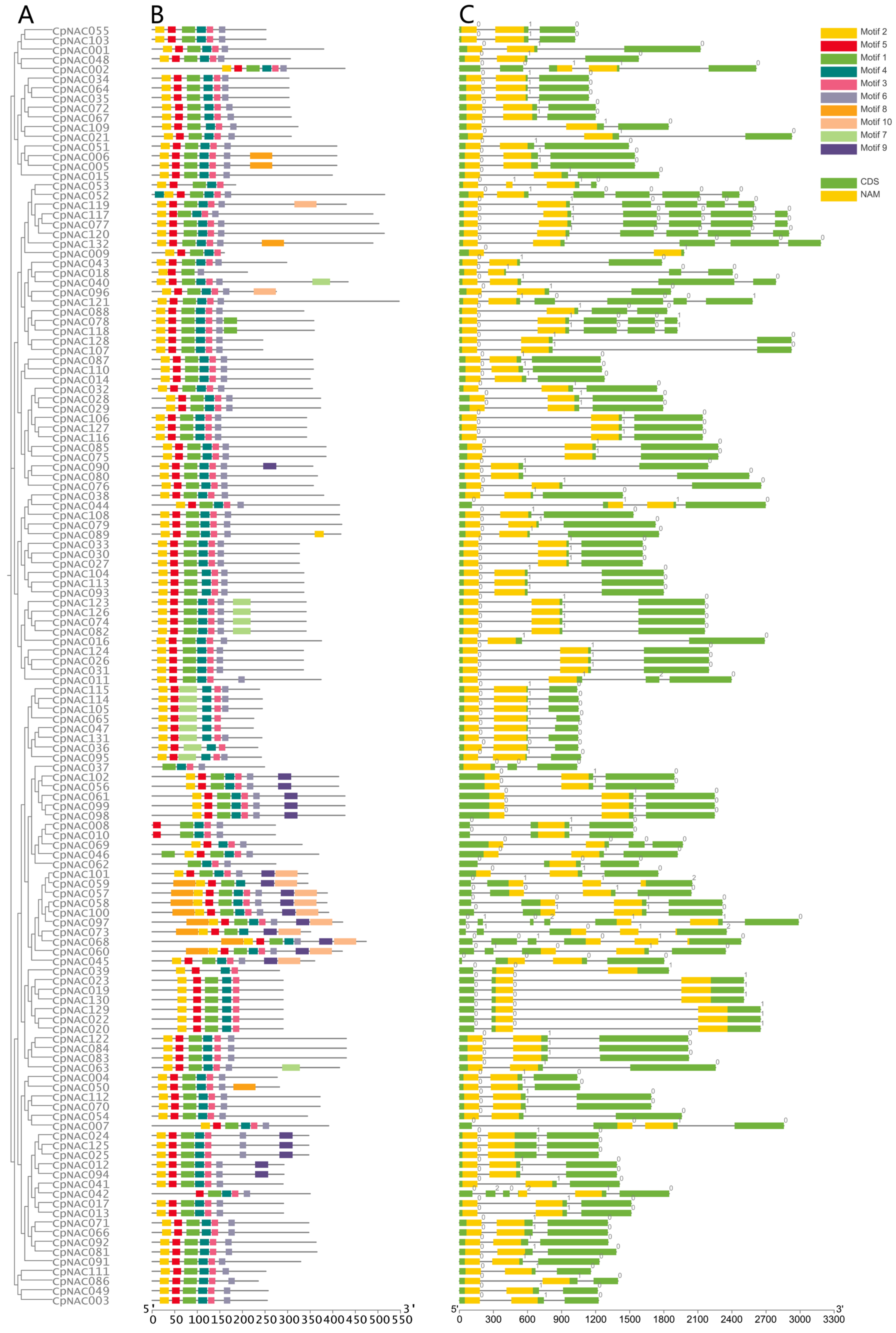 Forests 15 00479 g001 Forests 15 00479 g001