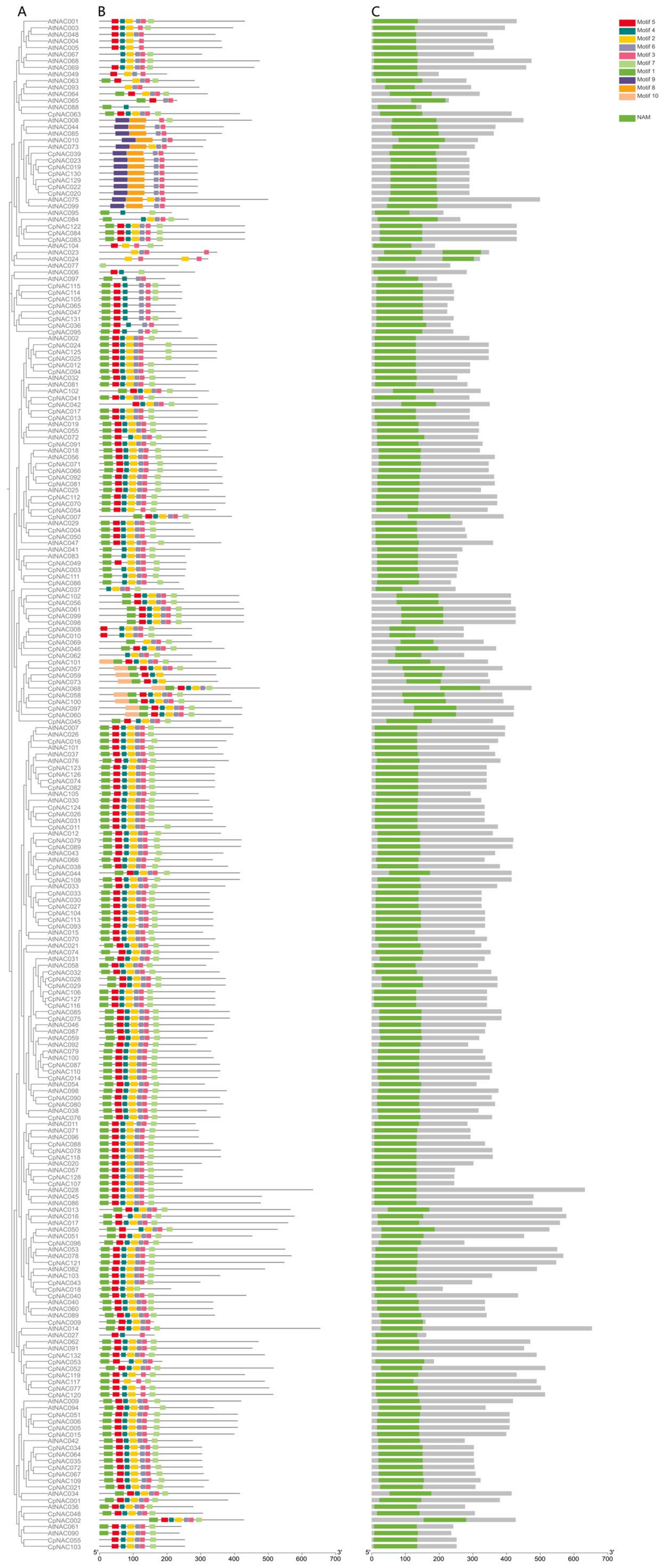 Forests 15 00479 g002 Forests 15 00479 g002