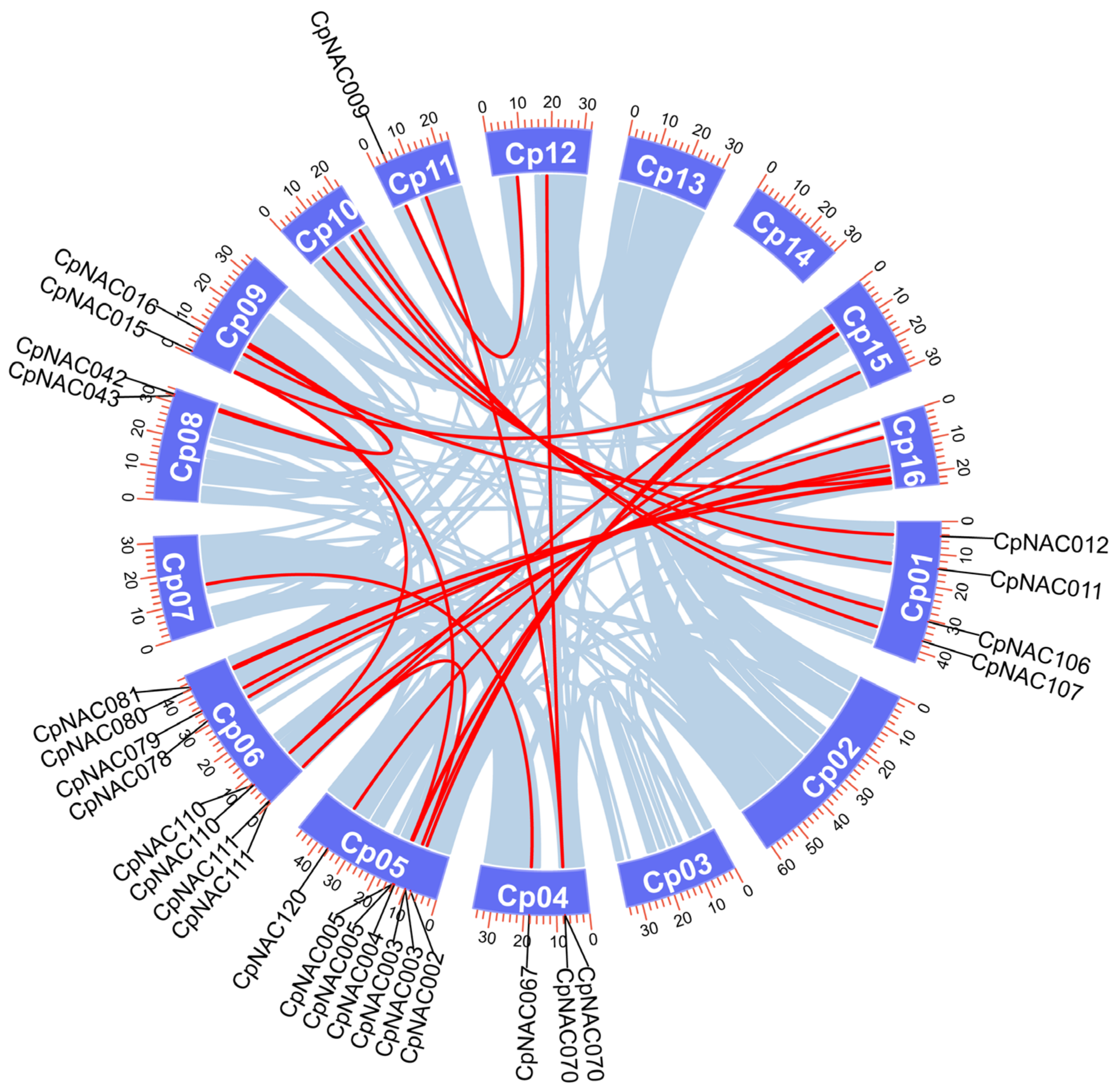 Forests 15 00479 g004 Forests 15 00479 g004