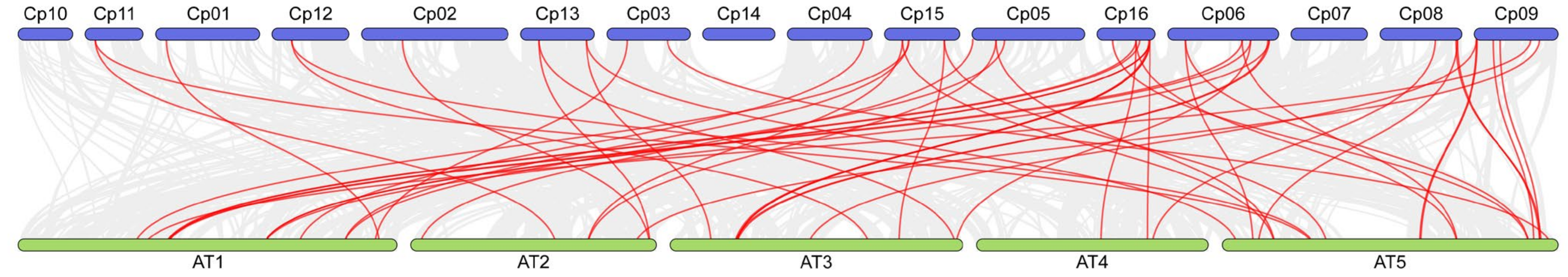 Forests 15 00479 g005 Forests 15 00479 g005